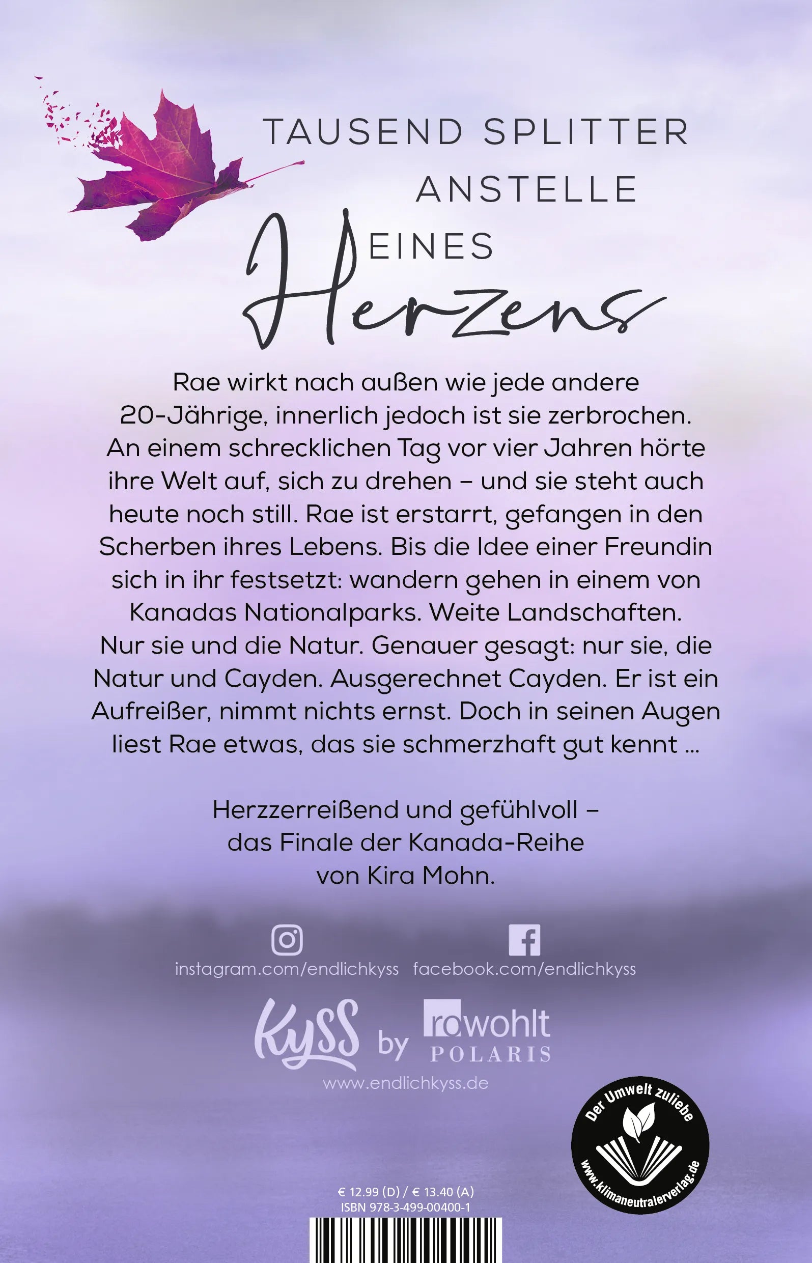 Buchrückseite von 'Free like the Wind' mit Klappentext - Paperback