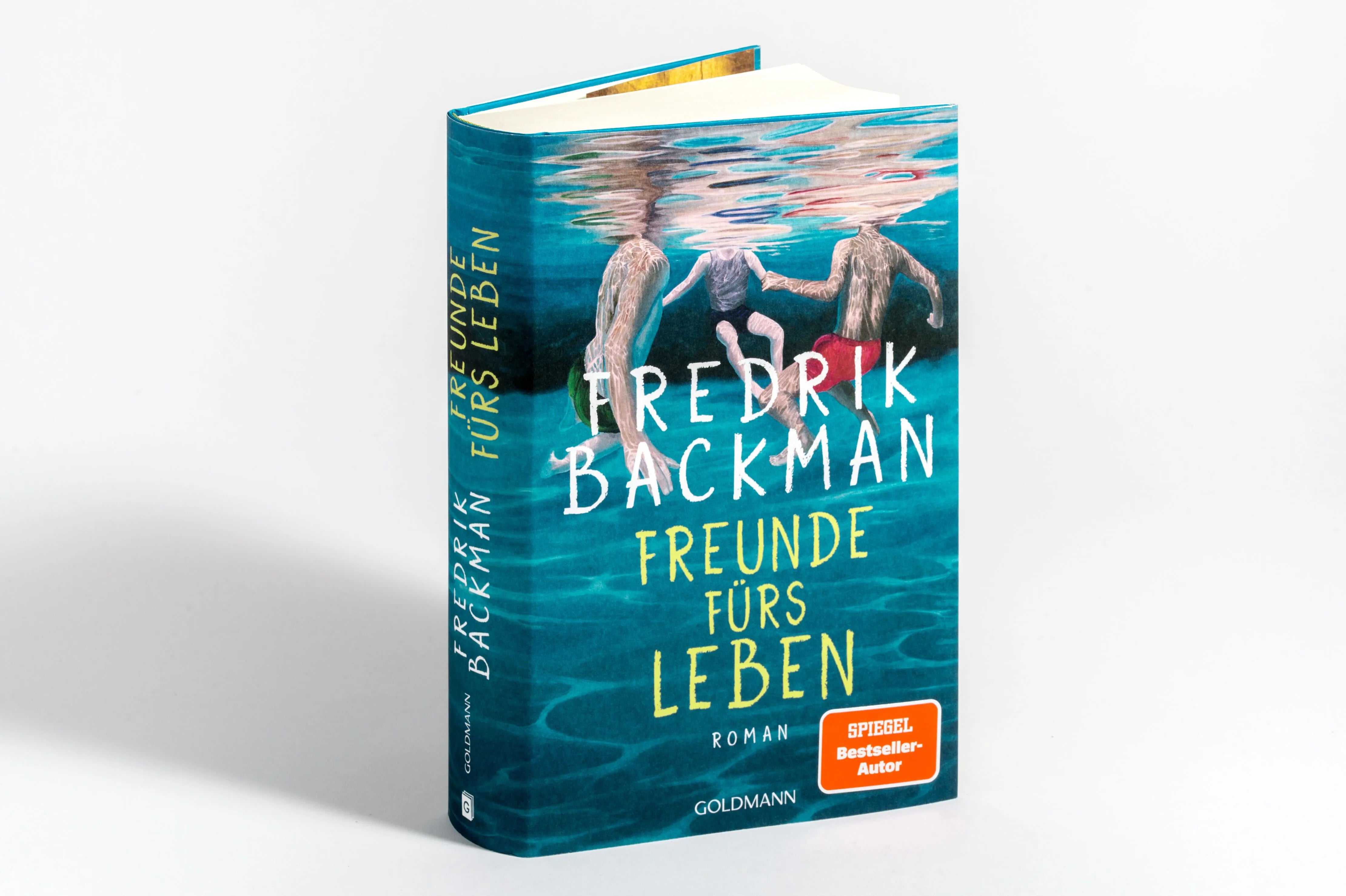 Detailansicht: Freunde fürs Leben (Hardcover)