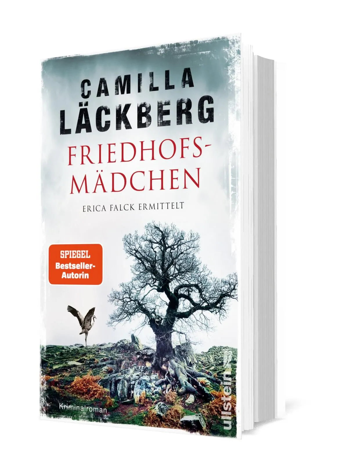 Detailansicht: Friedhofsmädchen. Erica Falck ermittelt (Hardcover)