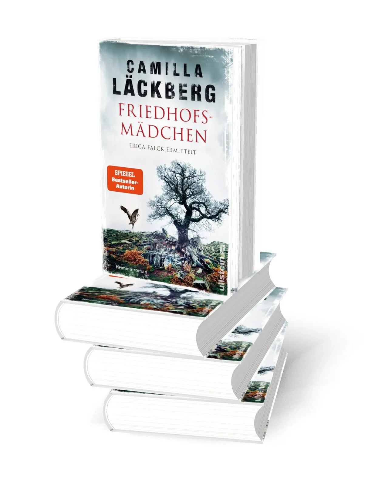 Detailansicht: Friedhofsmädchen. Erica Falck ermittelt (Hardcover)