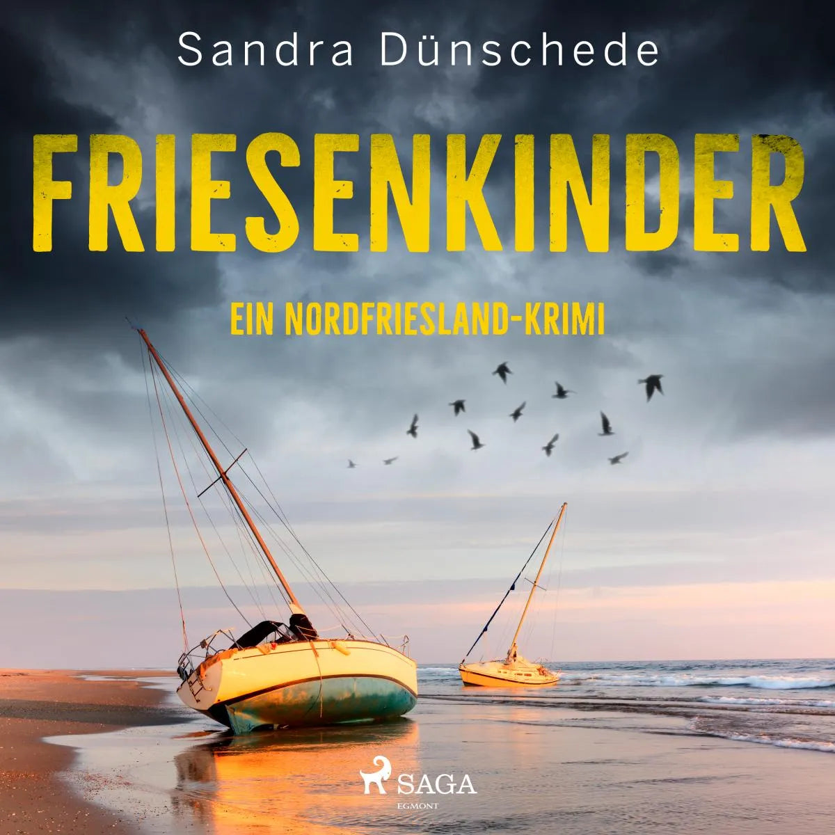 Cover: Friesenkinder: Ein Nordfriesland-Krimi (Hörbuch Download) von Sandra Dünschede