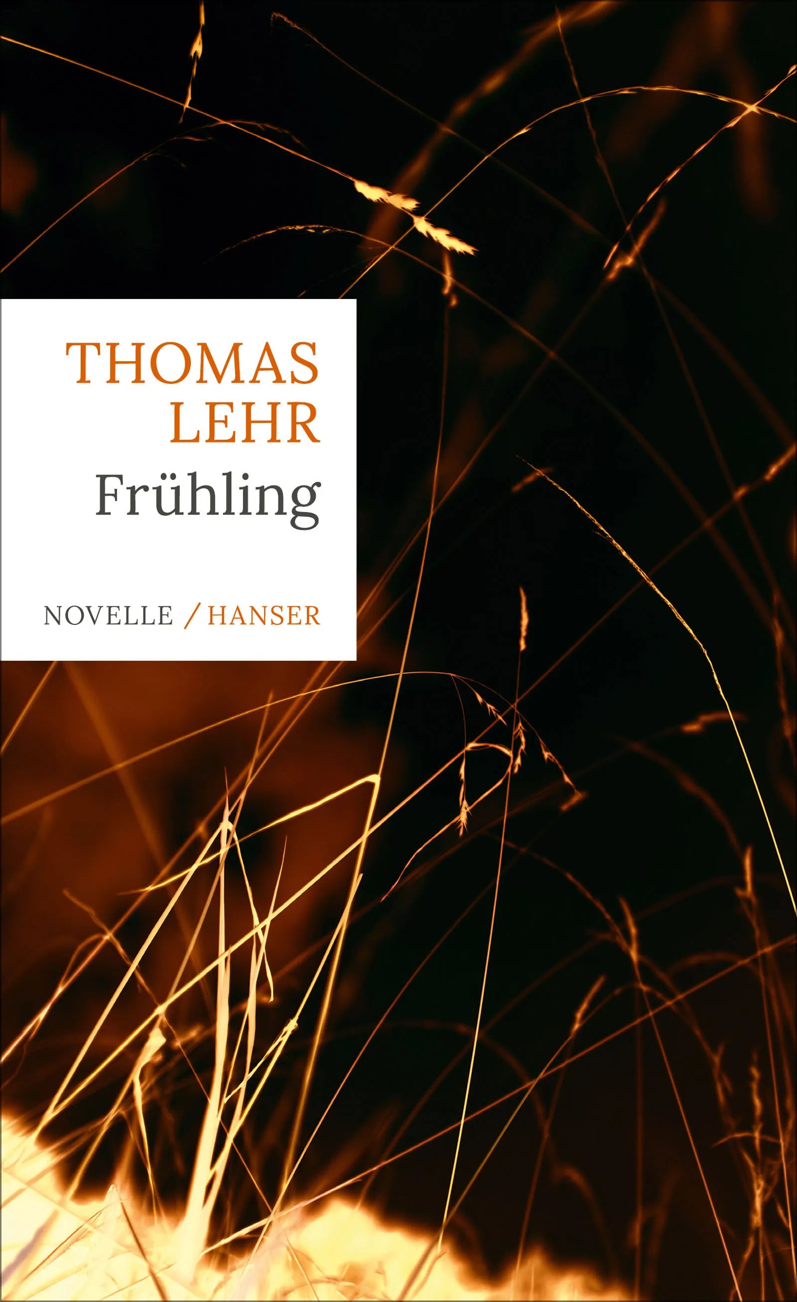 Buchcover von 'Frühling' - Gebundene Ausgabe von Thomas Lehr