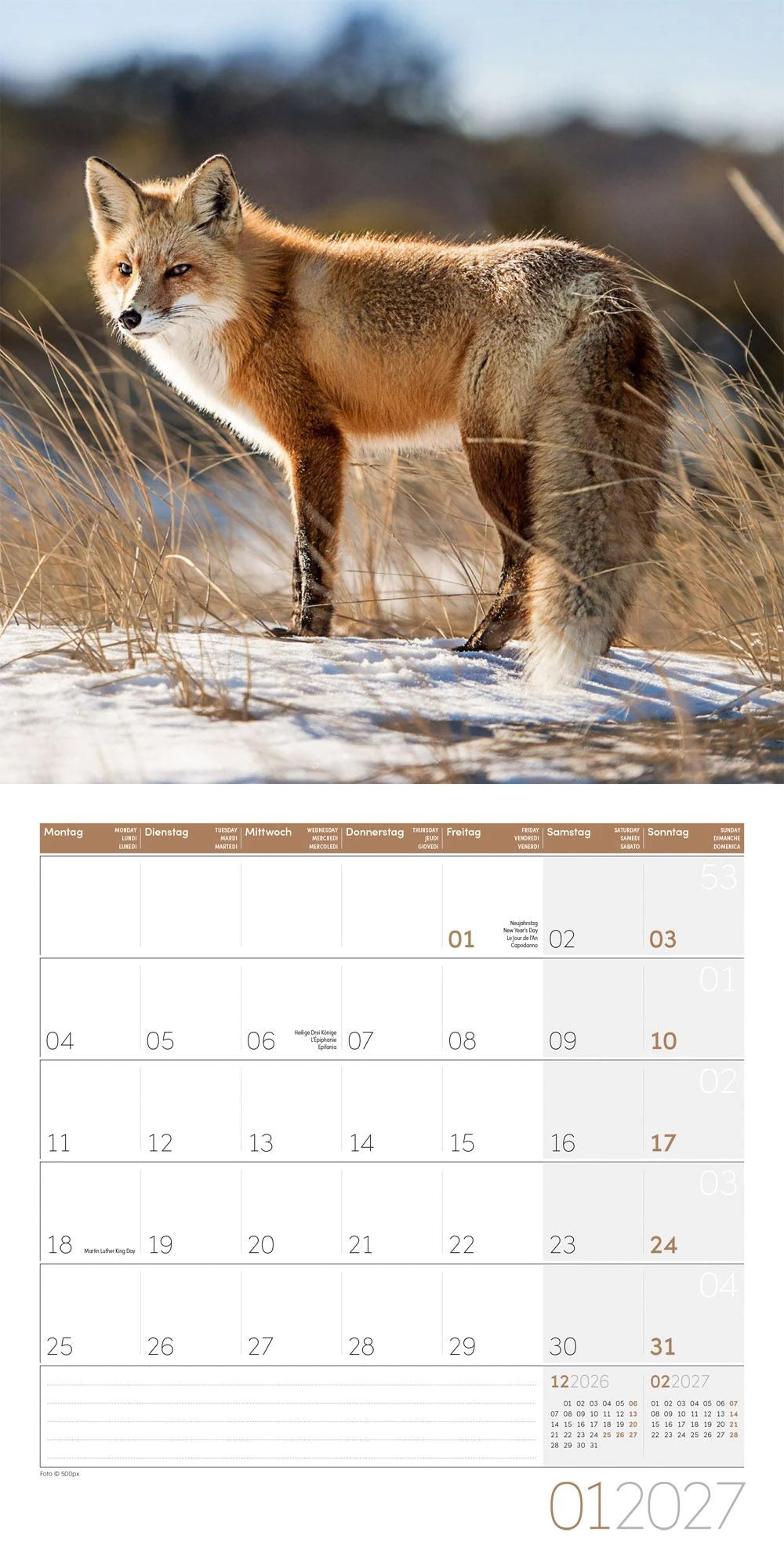 Füchse Kalender 2027 - 30x30 - Art12 – Ansicht