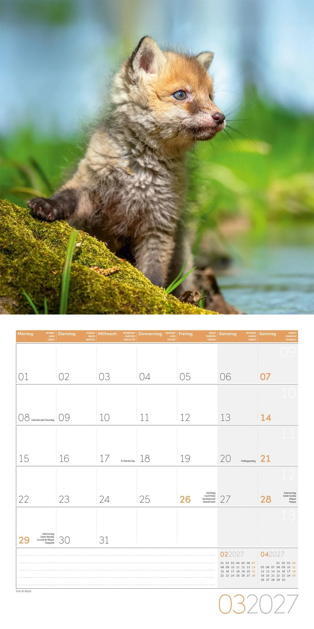 Füchse Kalender 2027 - 30x30 - Art12 – Ansicht