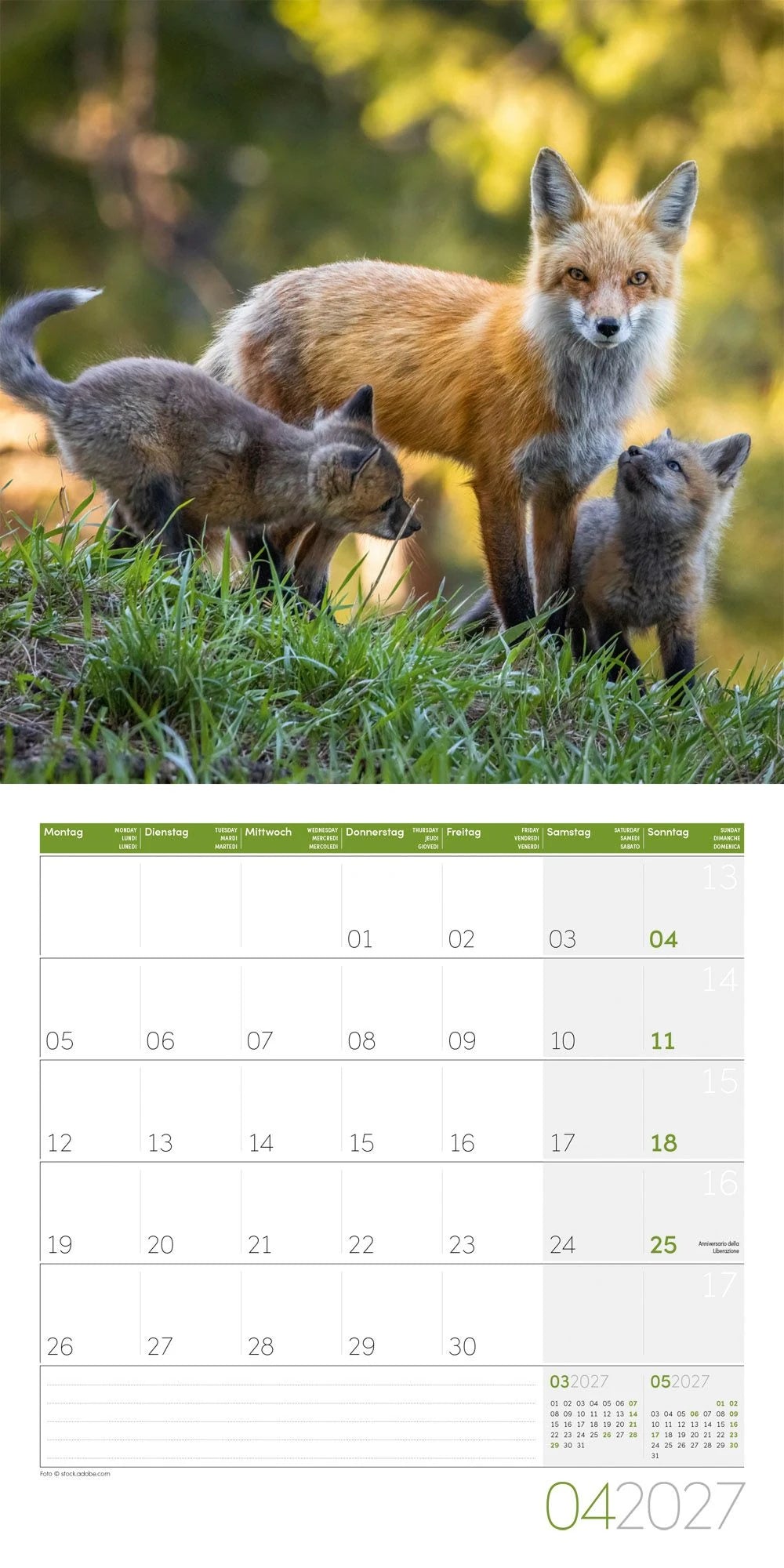 Füchse Kalender 2027 - 30x30 - Art12 – Ansicht