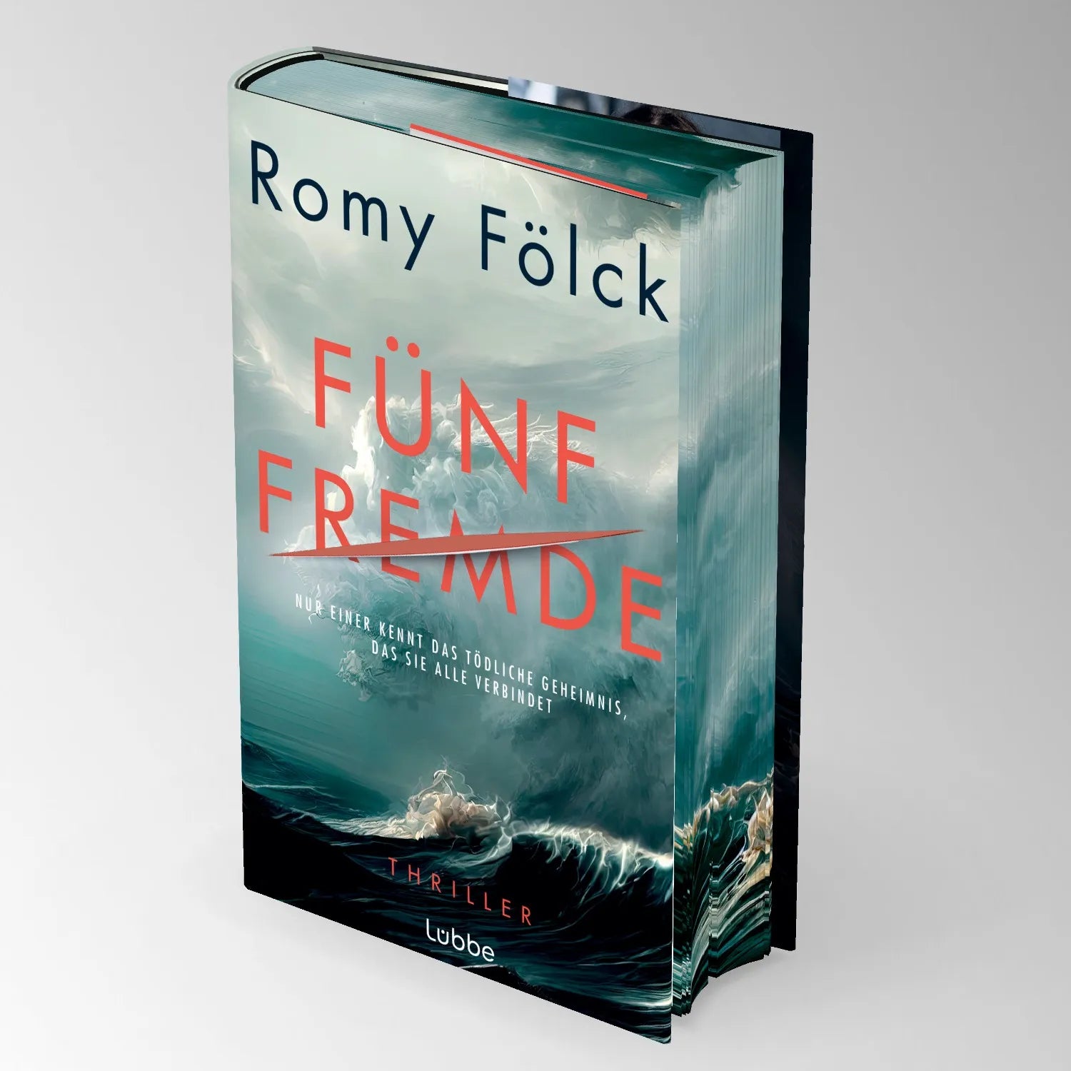 Detailansicht: Fünf Fremde (Hardcover)