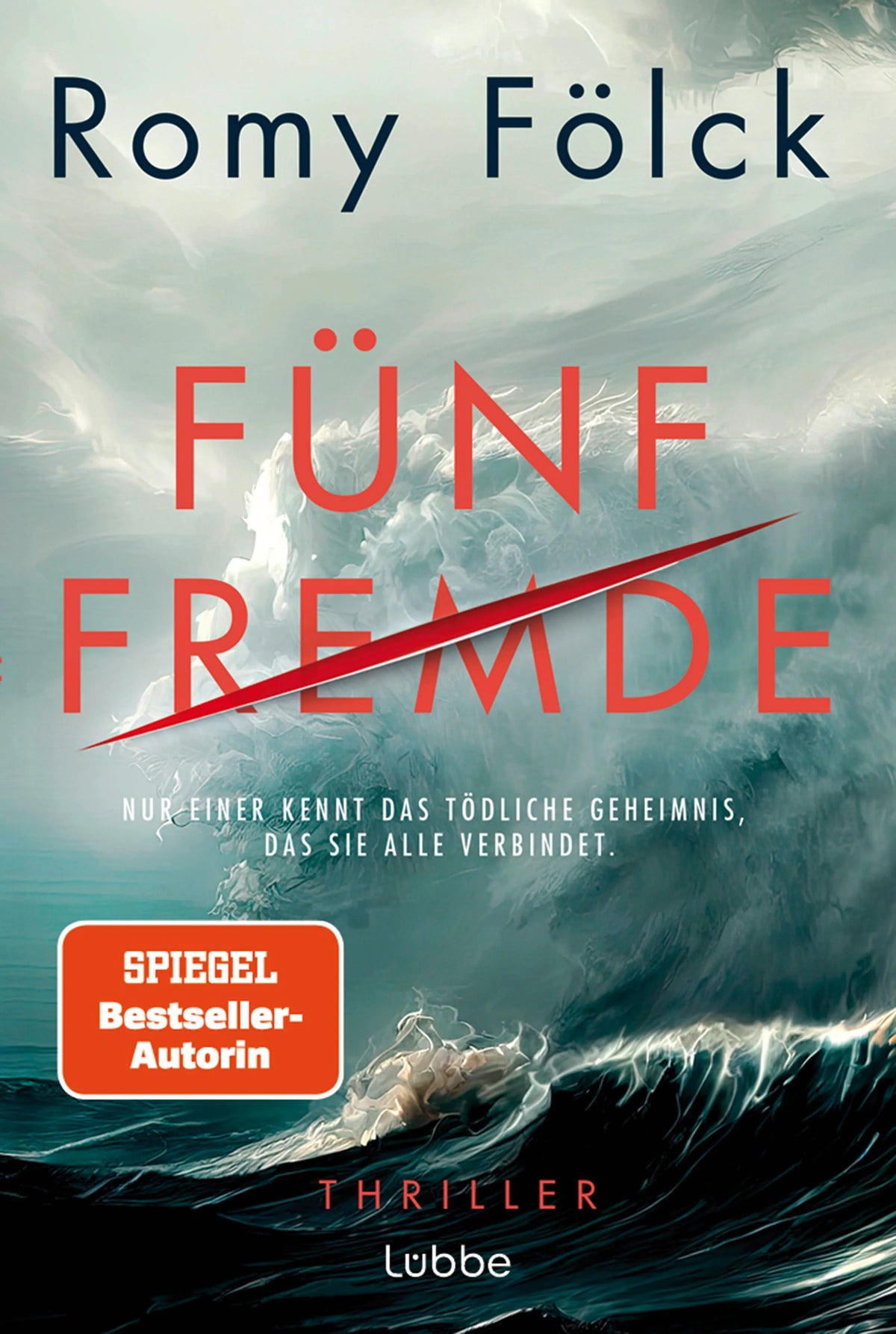 Cover: Fünf Fremde (Taschenbuch) von Romy Fölck