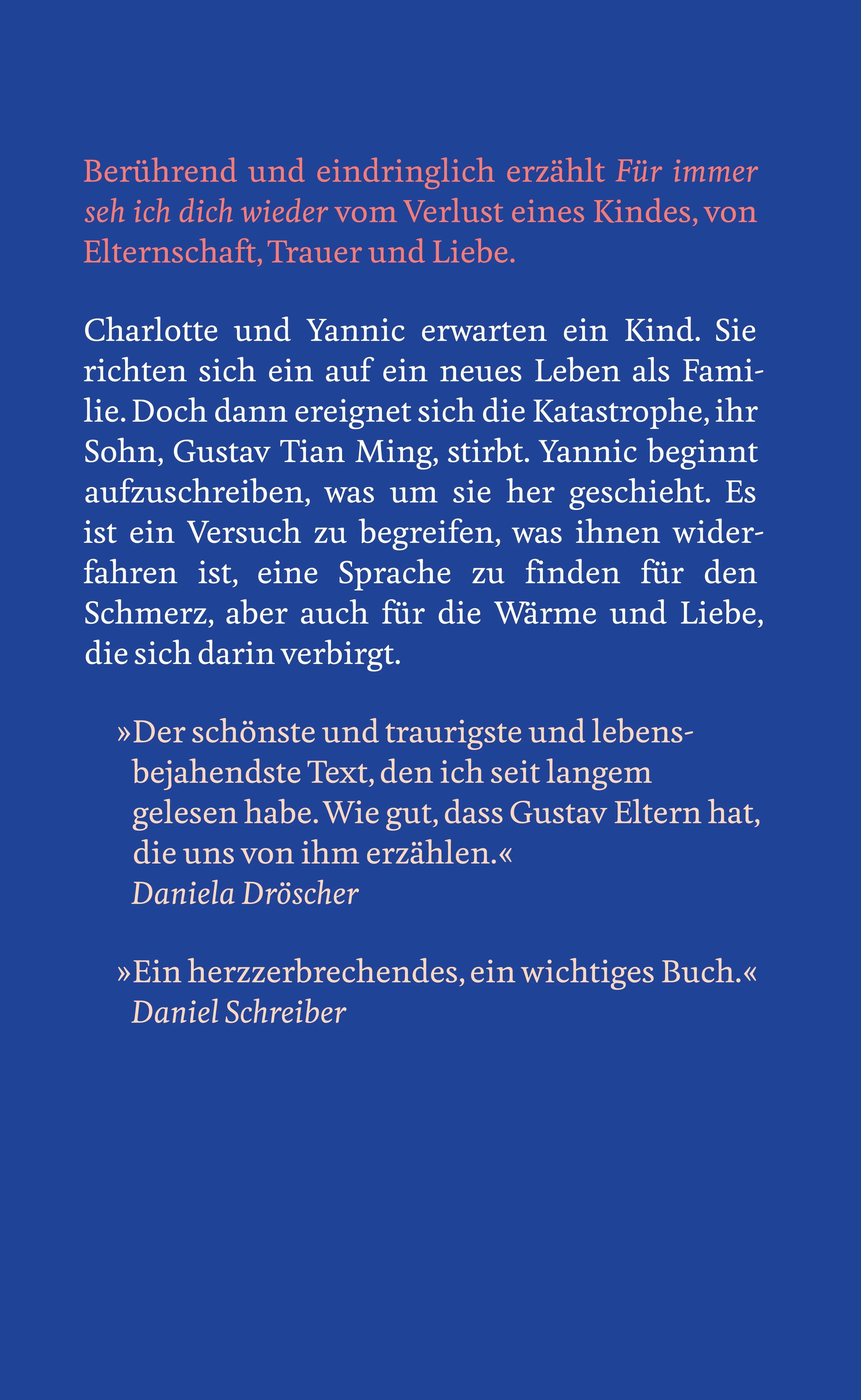 Buchrückseite von 'Für immer seh ich dich wieder' mit Klappentext - Gebundene Ausgabe