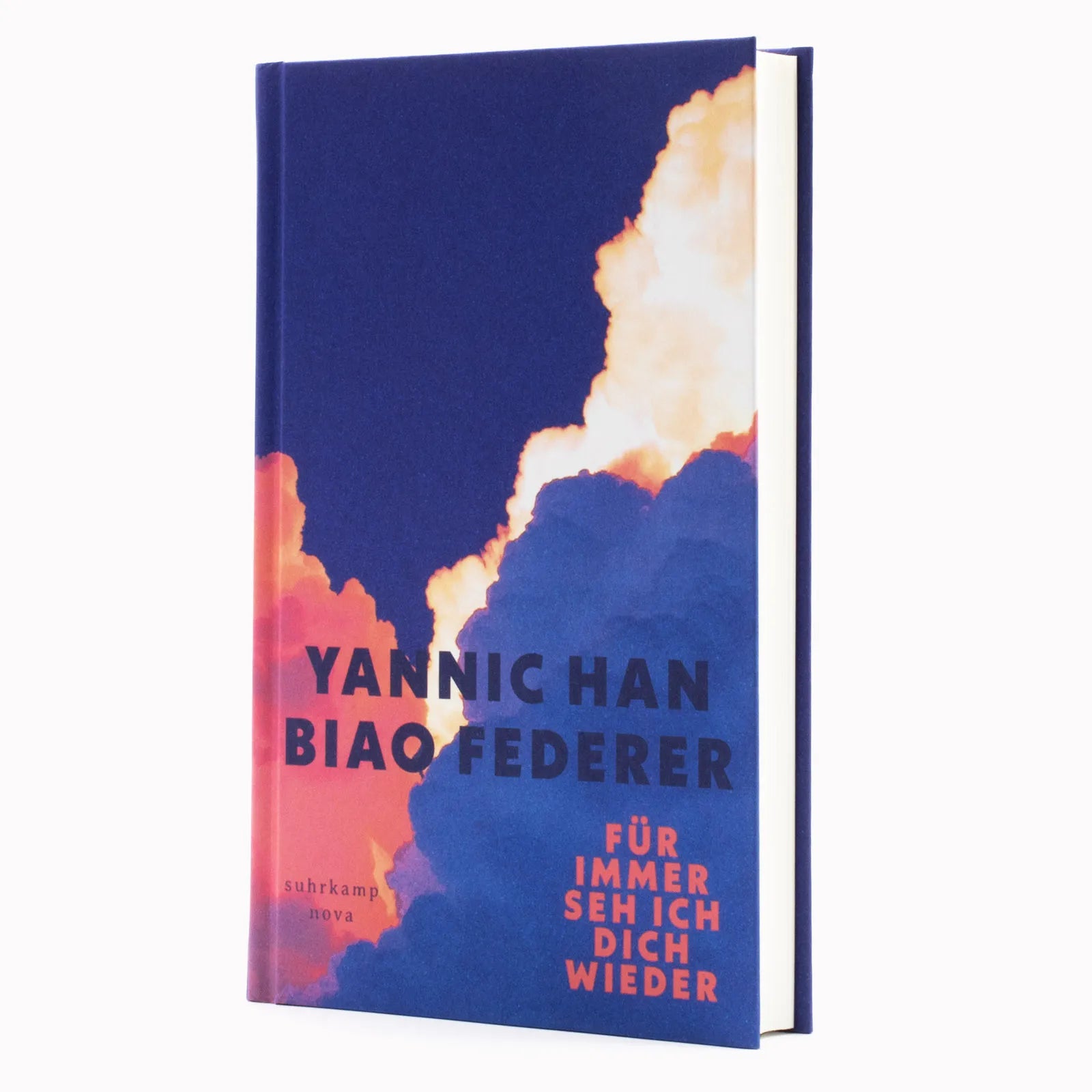 Produktansicht: Für immer seh ich dich wieder (Gebundene Ausgabe)