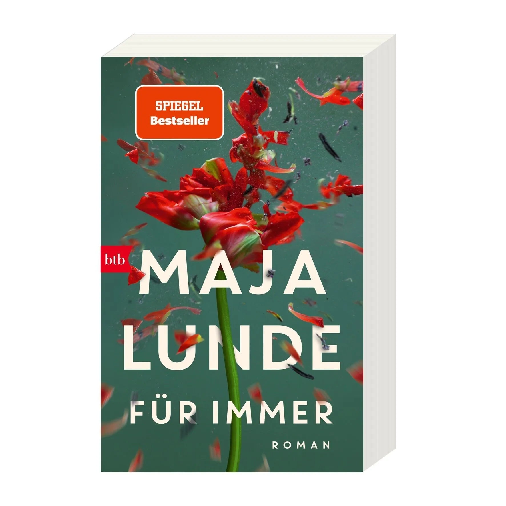 Detailansicht: Für immer (Taschenbuch)