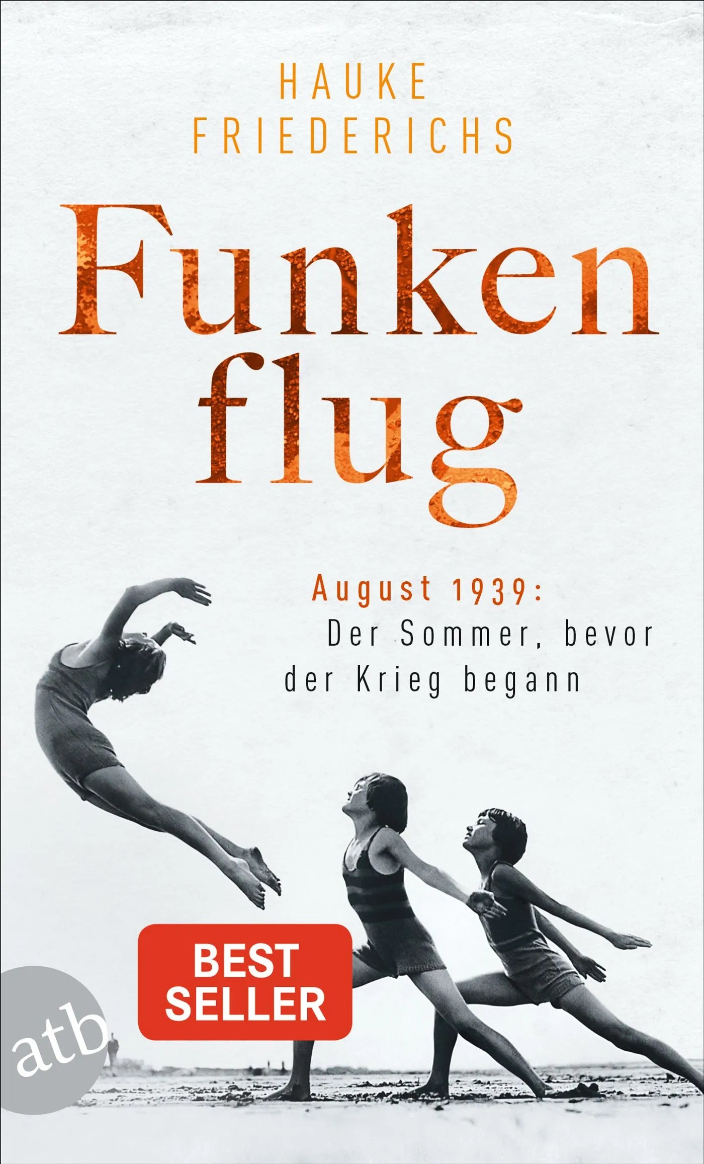 Buchcover von 'Funkenflug' - Taschenbuch von Hauke Friederichs
