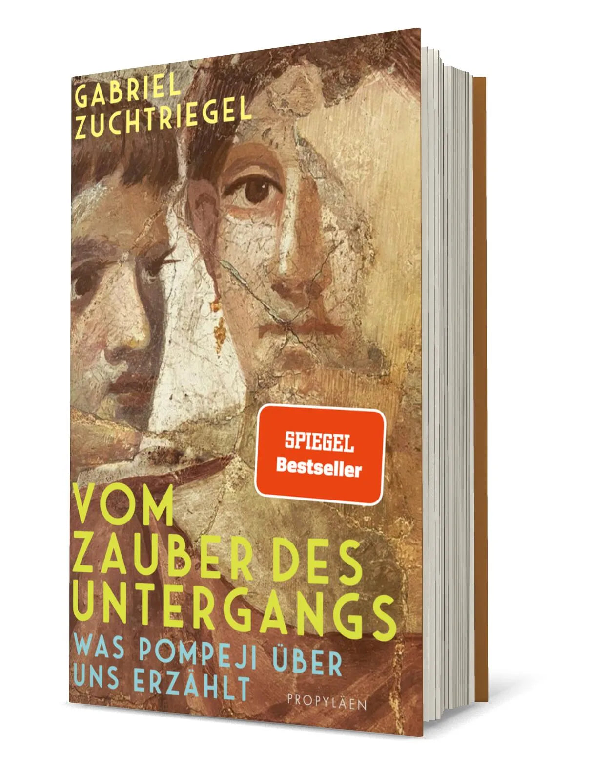 Produktansicht: Vom Zauber des Untergangs (Gebundene Ausgabe)