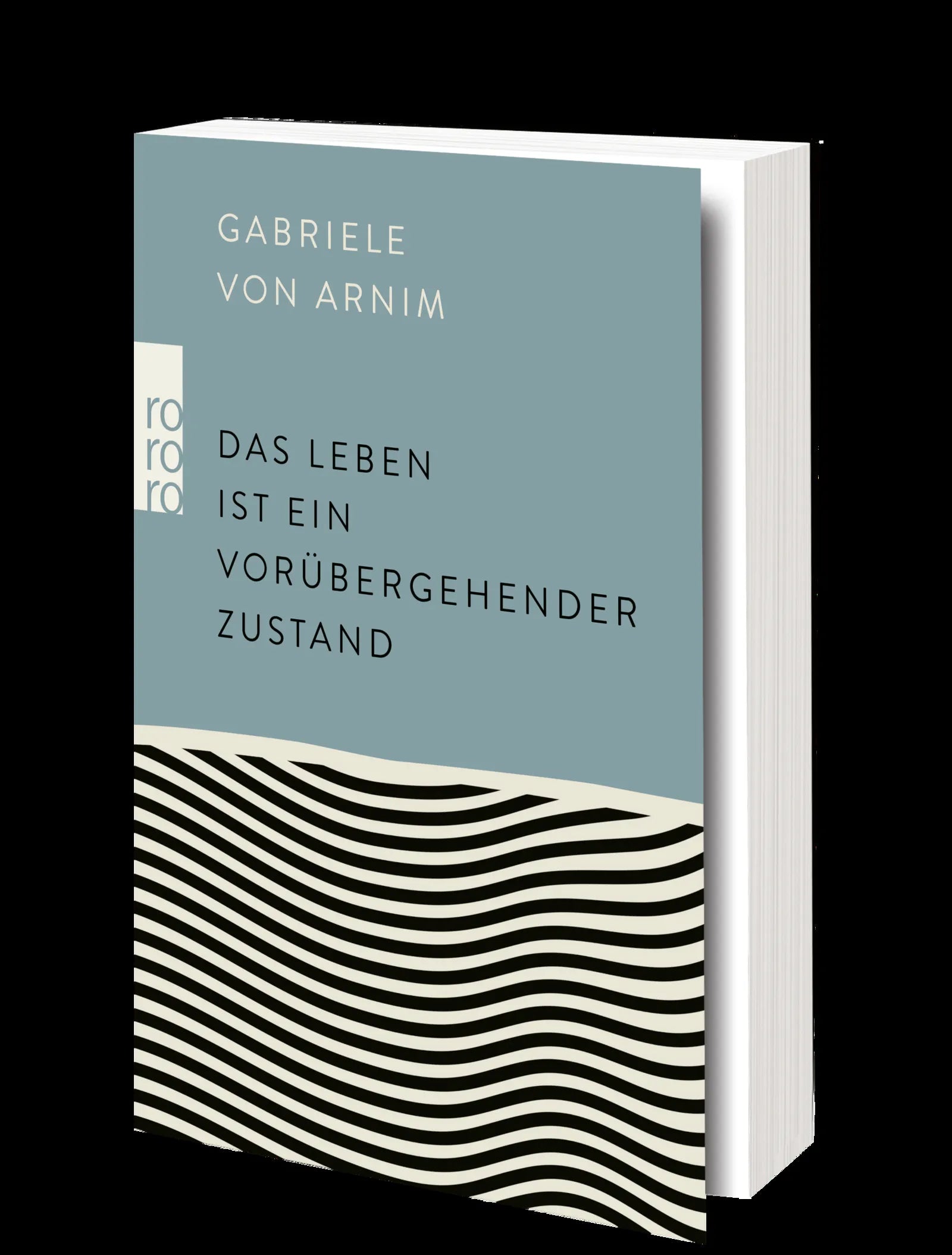 Produktansicht: Das Leben ist ein vorübergehender Zustand (Taschenbuch)