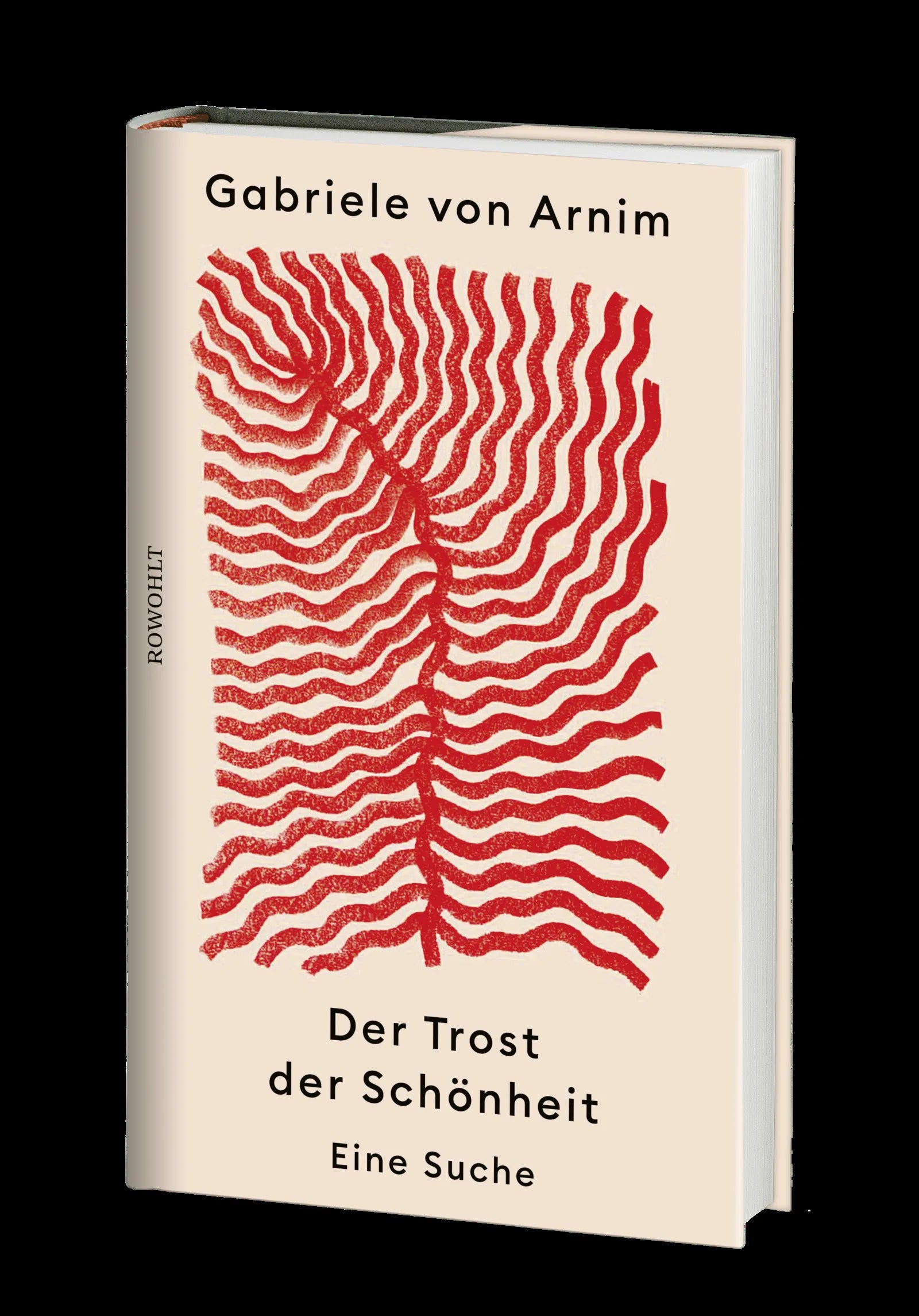Produktansicht: Der Trost der Schönheit (Gebundene Ausgabe)