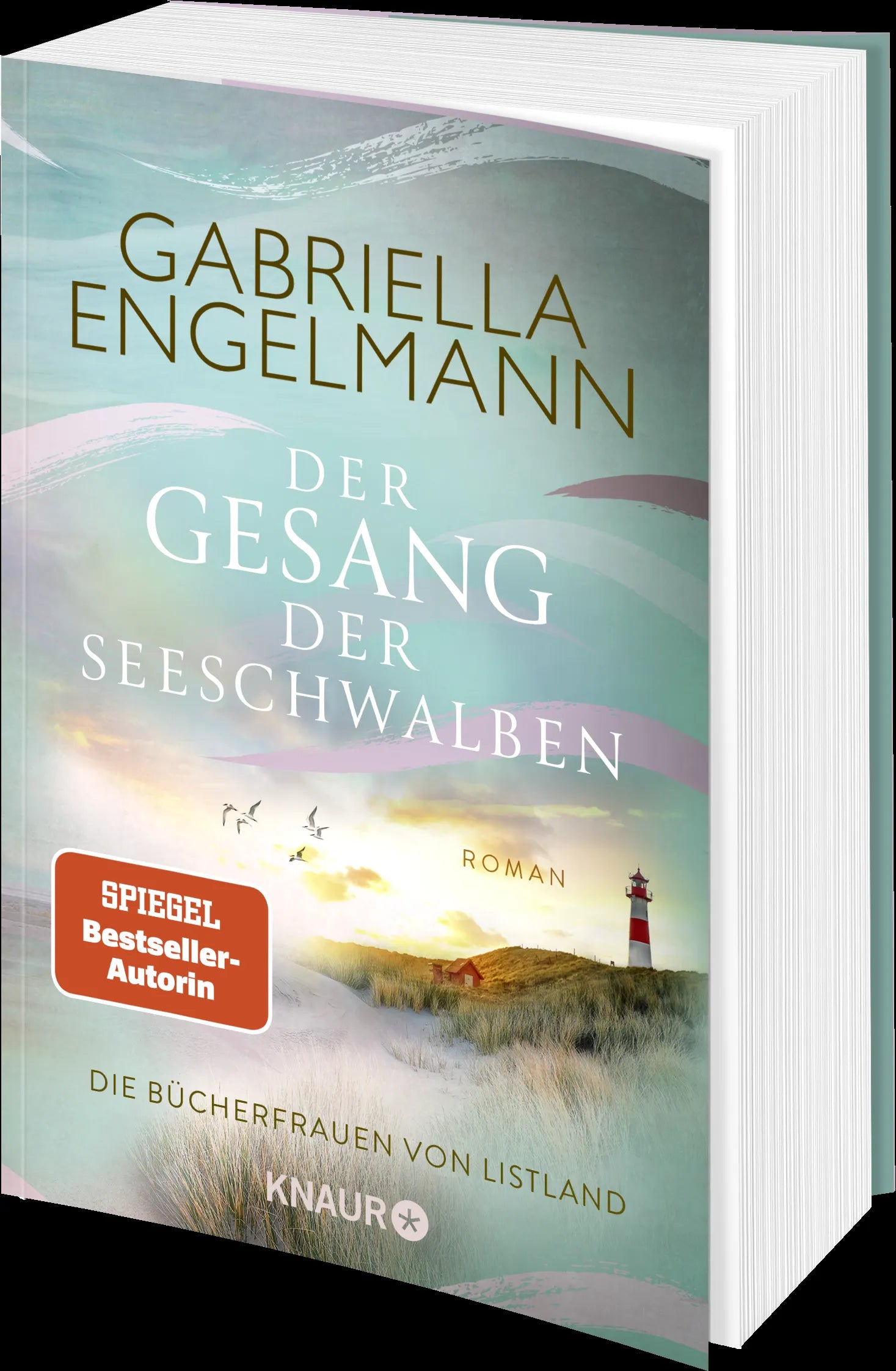 Produktansicht: Die Bücherfrauen von Listland. Der Gesang der Seeschwalben (Taschenbuch)