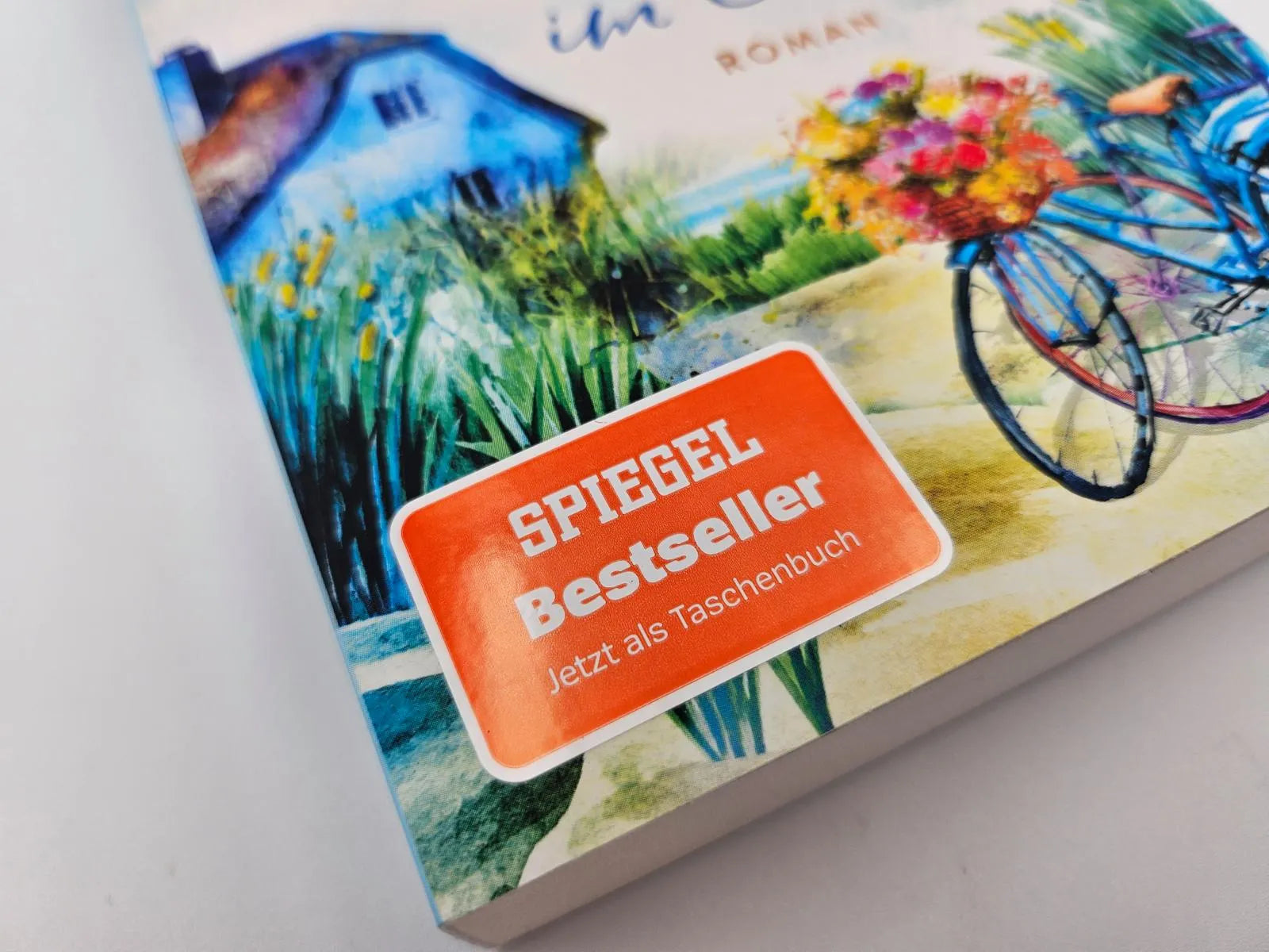 Produktansicht: Das größte Glück im Leben (Taschenbuch)