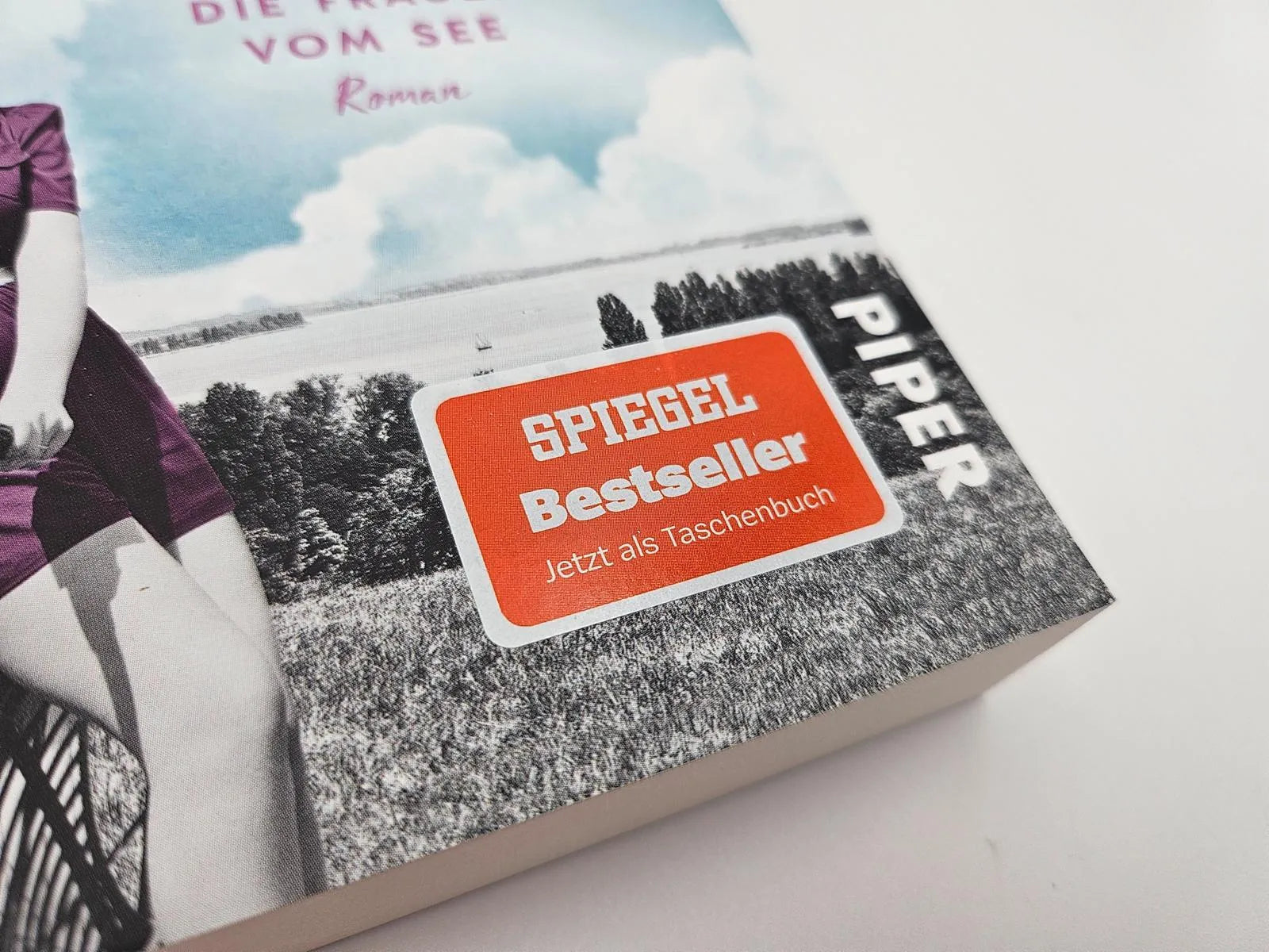 Produktansicht: Traum vom besseren Leben (Taschenbuch)