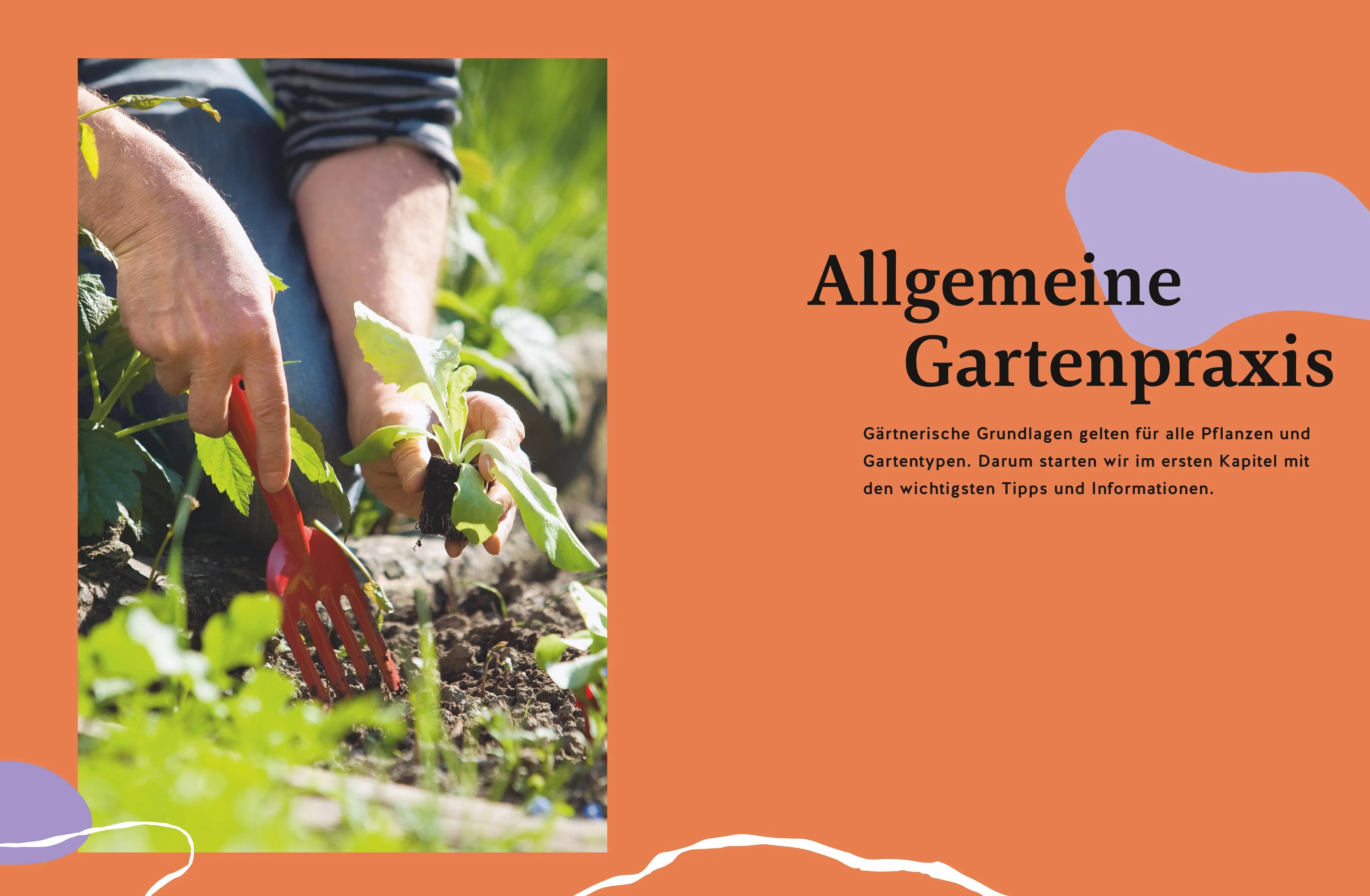 Detailansicht: Gärtnern für Gartenneulinge (Hardcover)