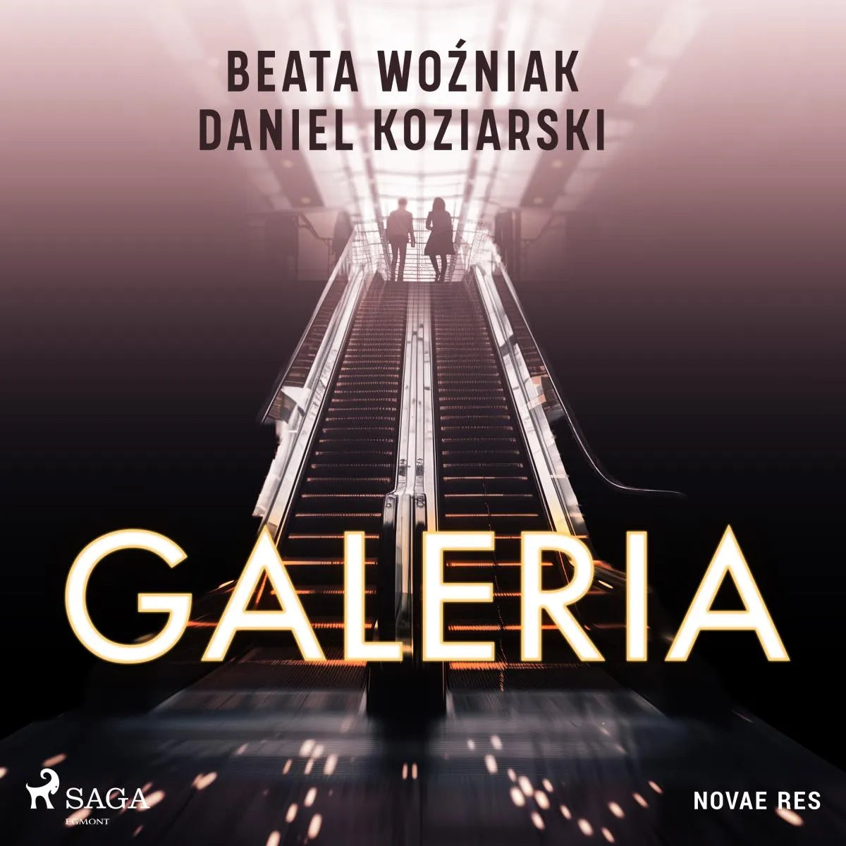 Cover: Galeria (Hörbuch Download) von Daniel Koziarski