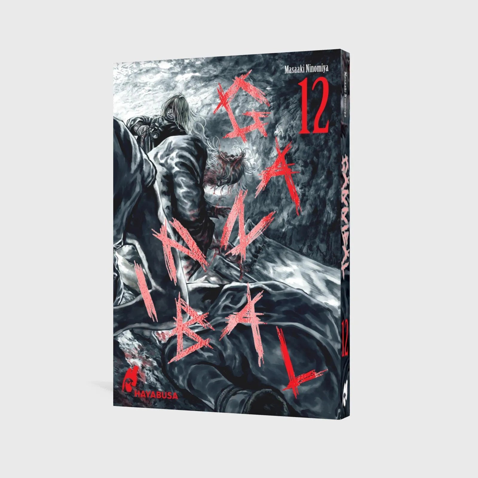 Produktansicht: Gannibal 12 (Paperback)