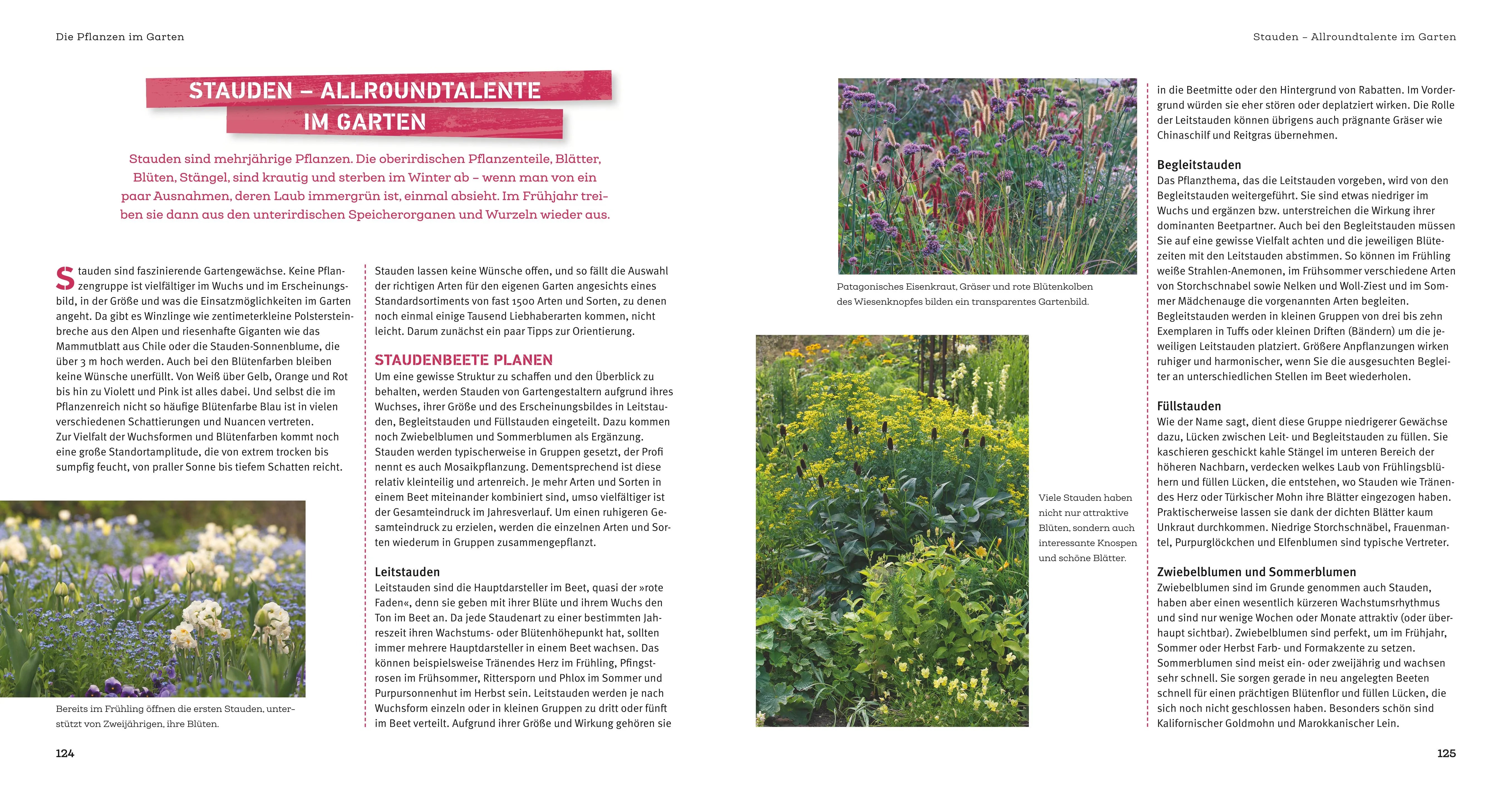 Produktansicht: Garten step-by-step (Taschenbuch)