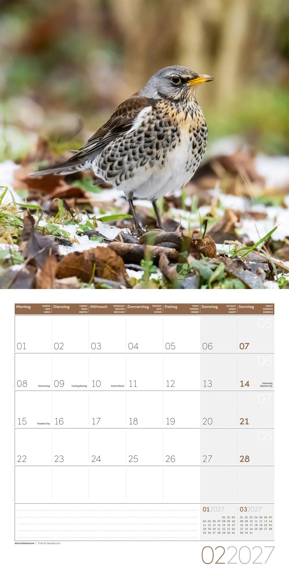 Gartenfreunde Kalender 2027 - 30x30 - Art12 – Ansicht