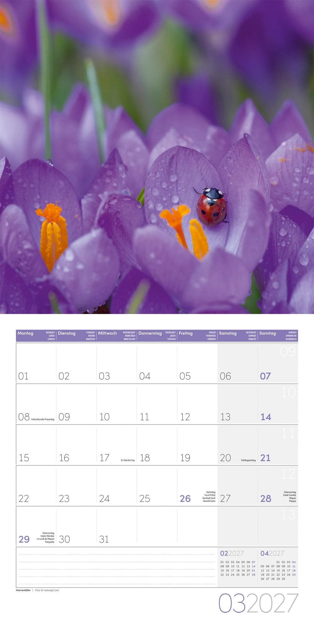 Gartenfreunde Kalender 2027 - 30x30 - Art12 – Ansicht