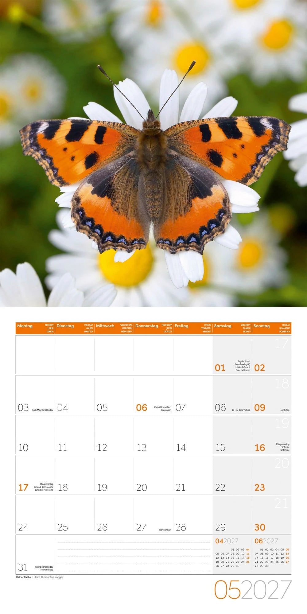 Gartenfreunde Kalender 2027 - 30x30 - Art12 – Ansicht
