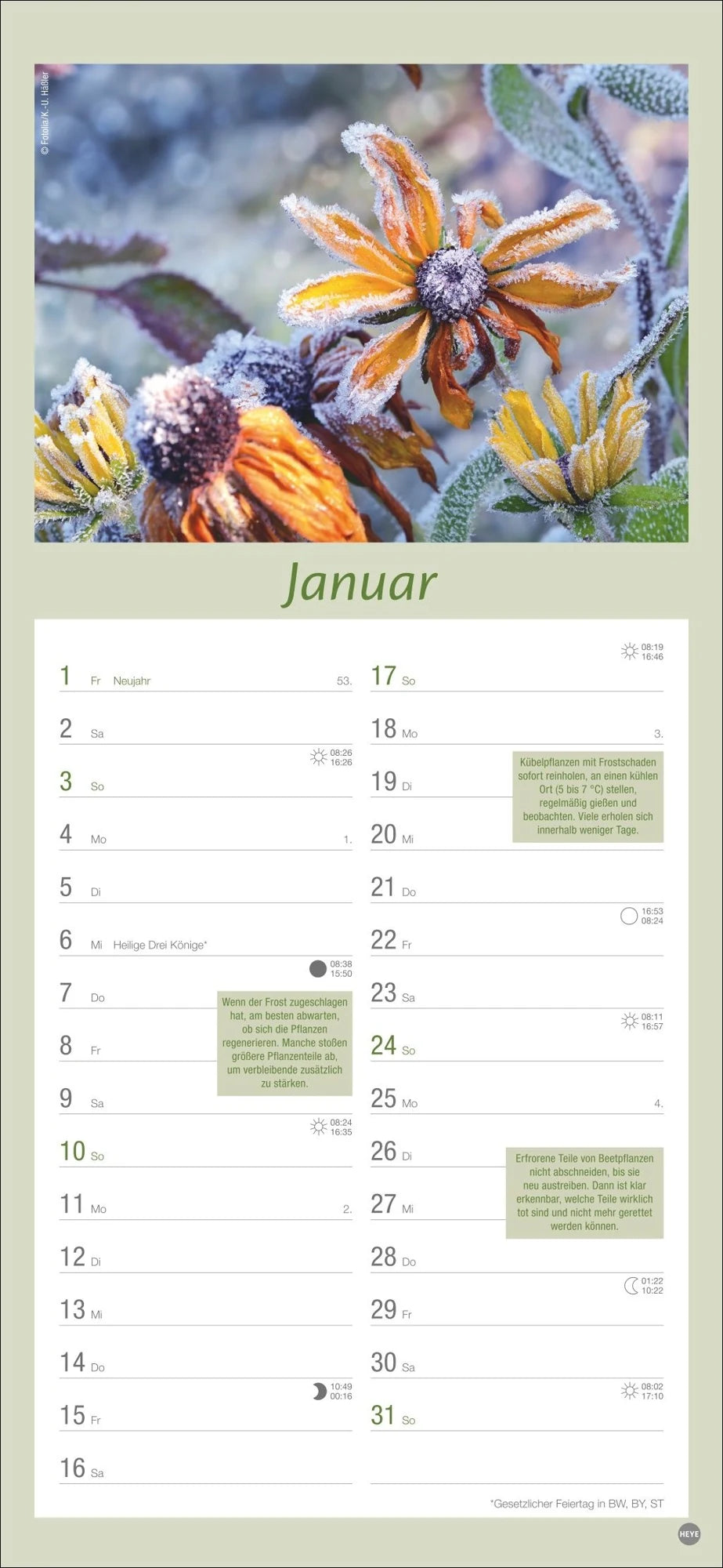 Gartenplaner 2027 – Ansicht