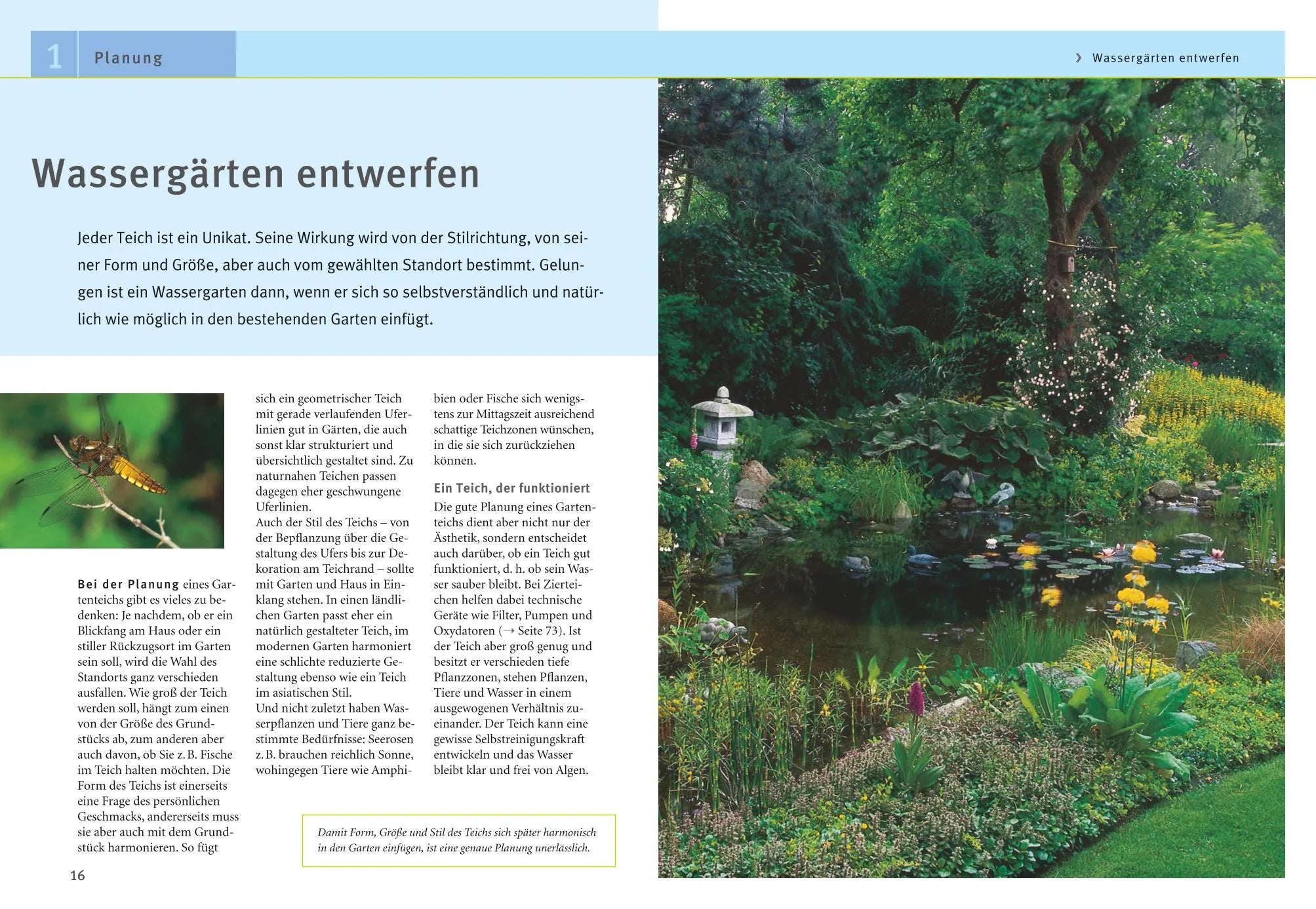 Abbildung von 'Gartenteiche anlegen und gestalten'