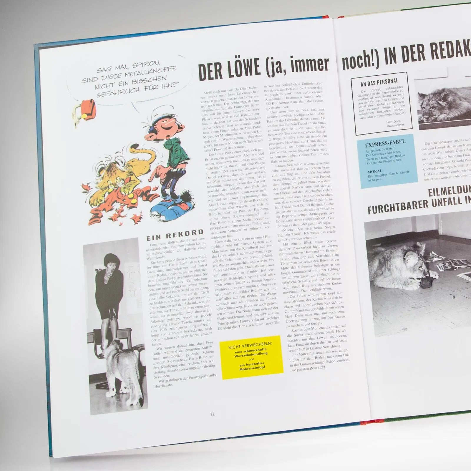 Produktansicht: Gaston Neuedition 9: Höhenflüge (Gebundene Ausgabe)