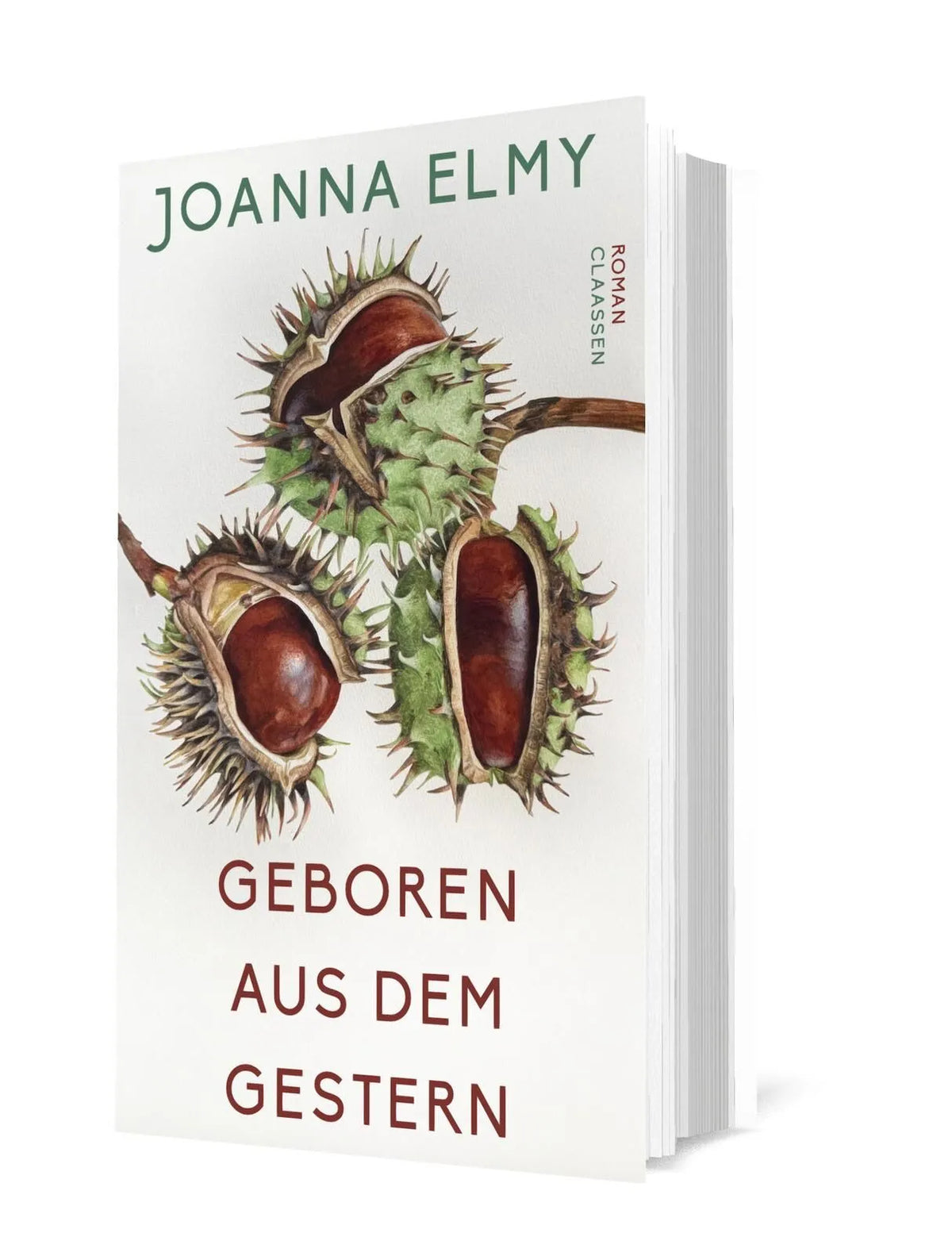 Detailansicht: Geboren aus dem Gestern (Hardcover)