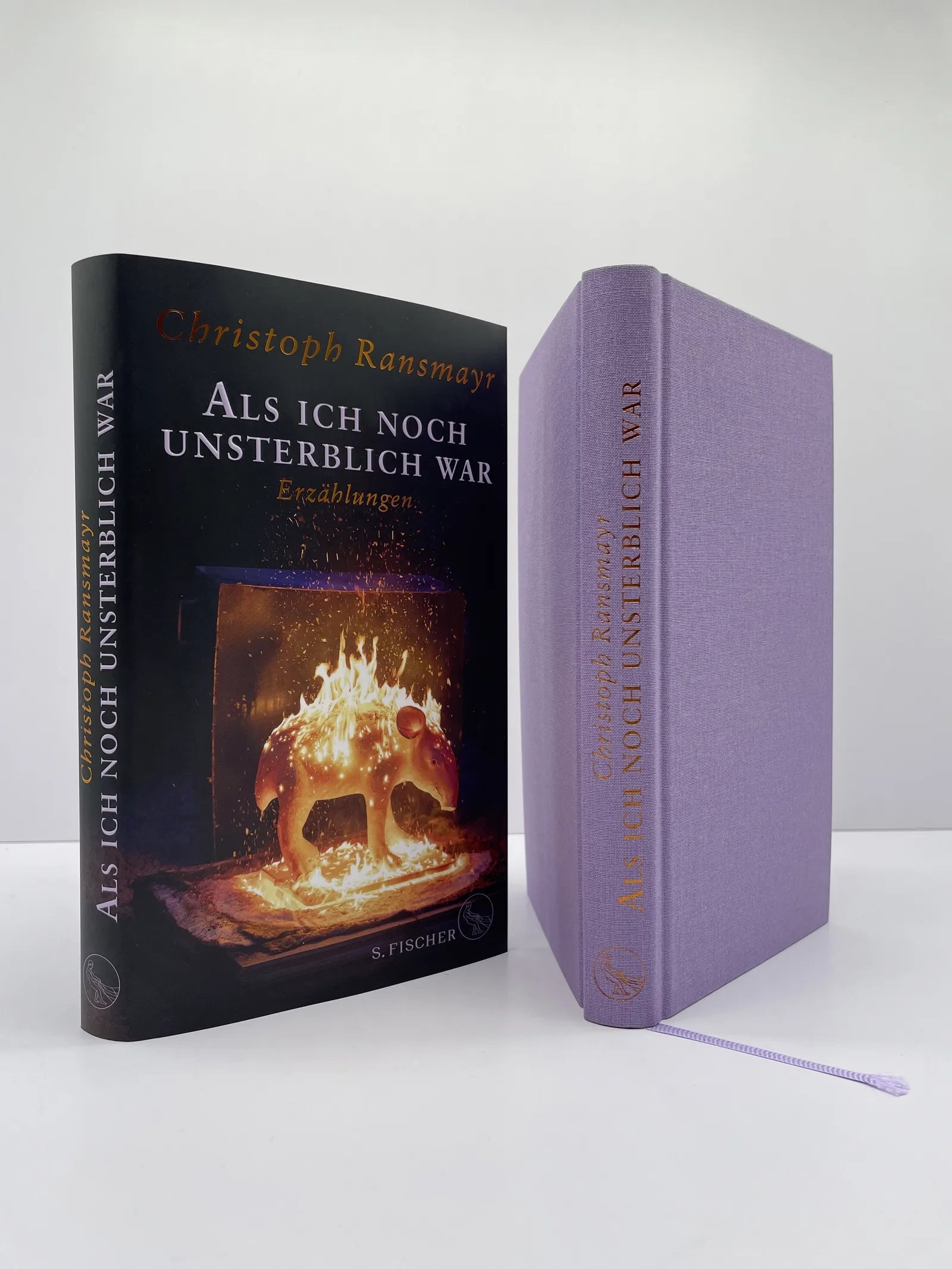 Abbildung von 'Als ich noch unsterblich war'