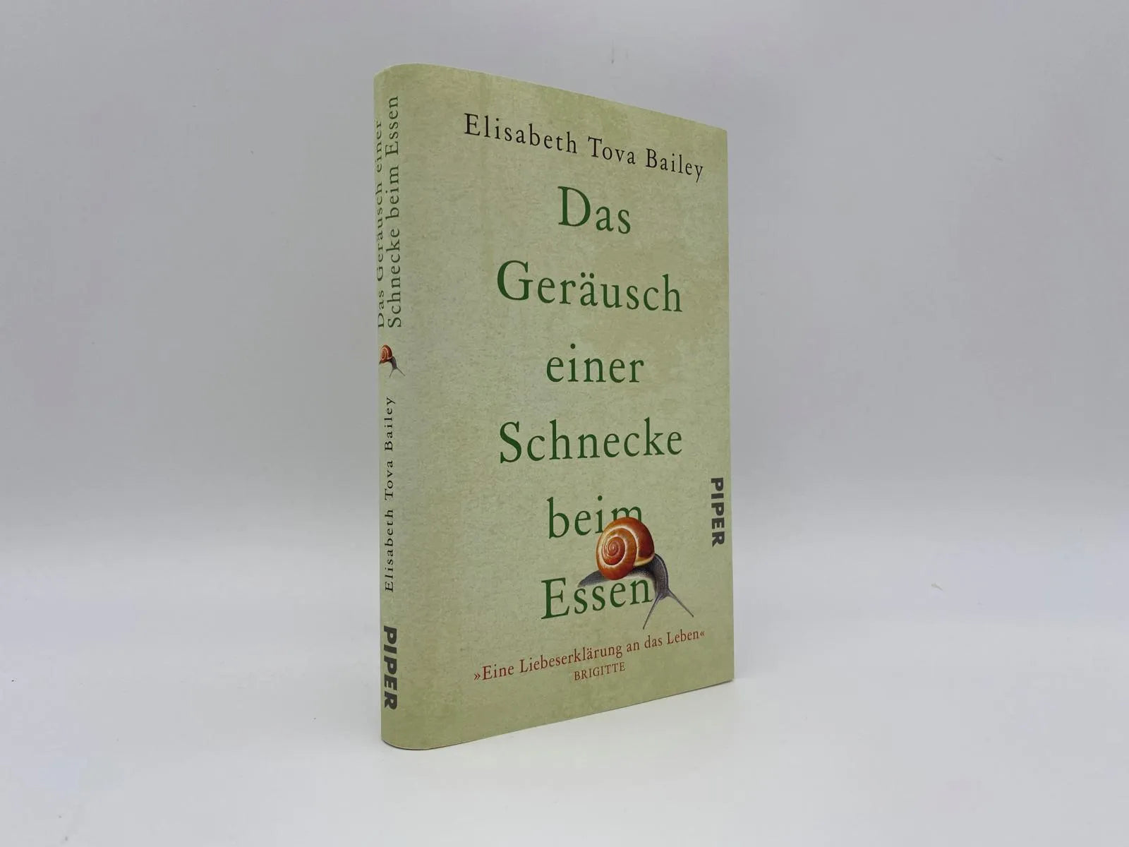 Abbildung von 'Das Geräusch einer Schnecke beim Essen'