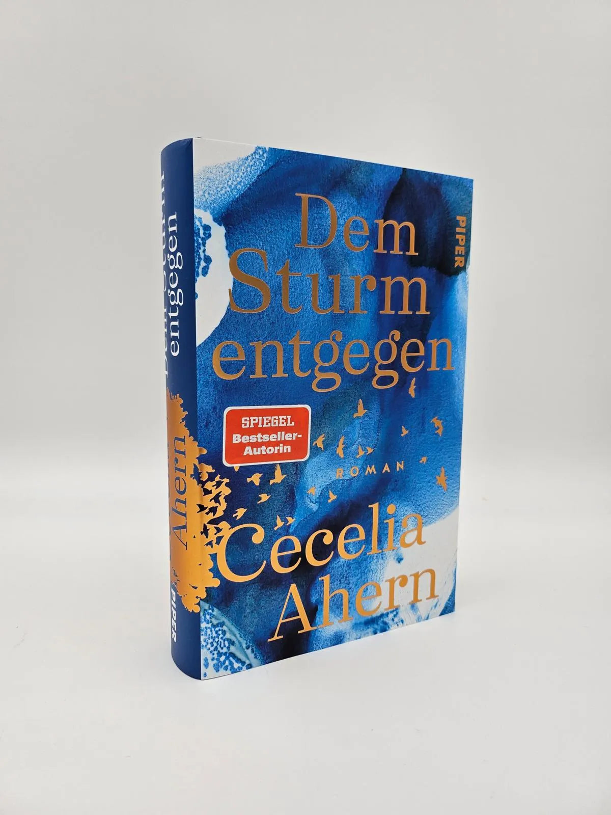 Abbildung von 'Dem Sturm entgegen'