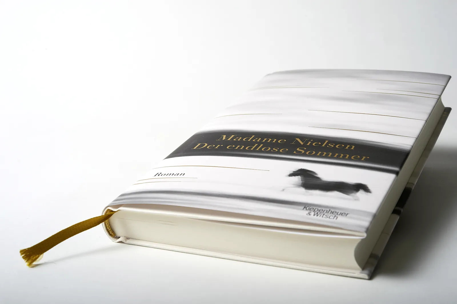Abbildung von 'Der endlose Sommer'