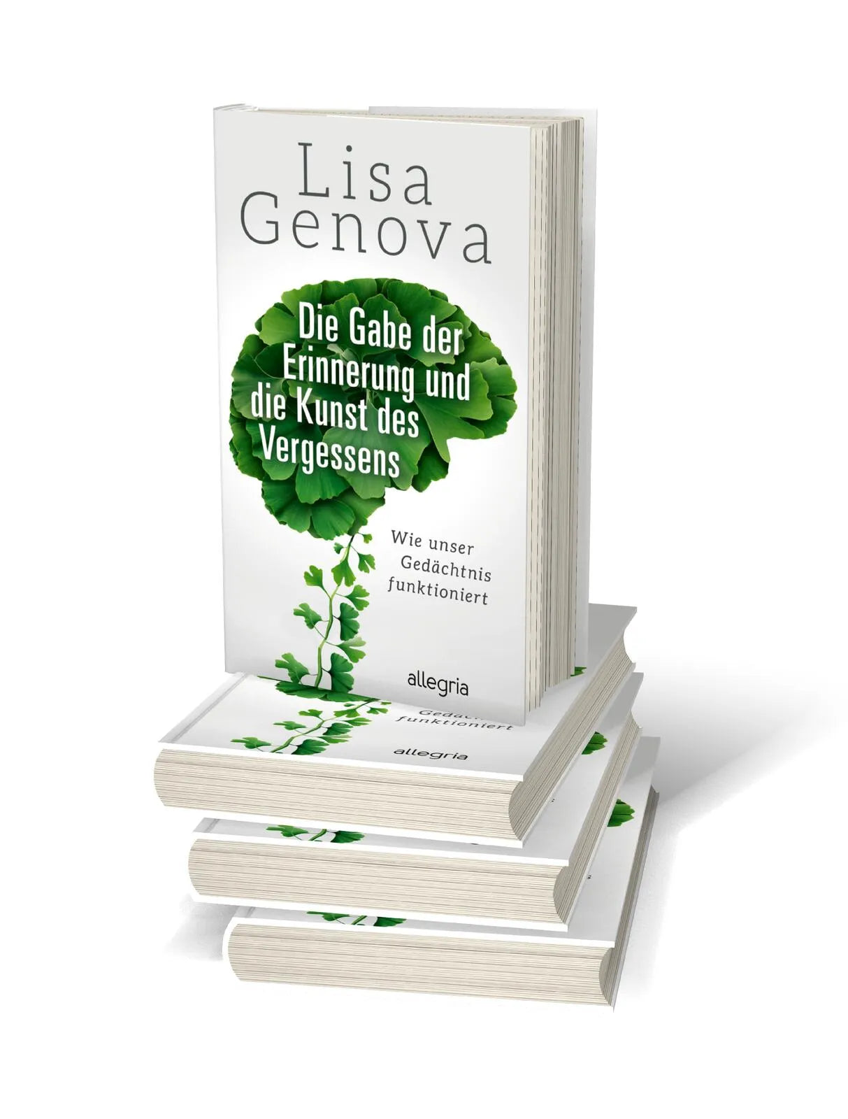 Abbildung von 'Die Gabe der Erinnerung und die Kunst des Vergessens'