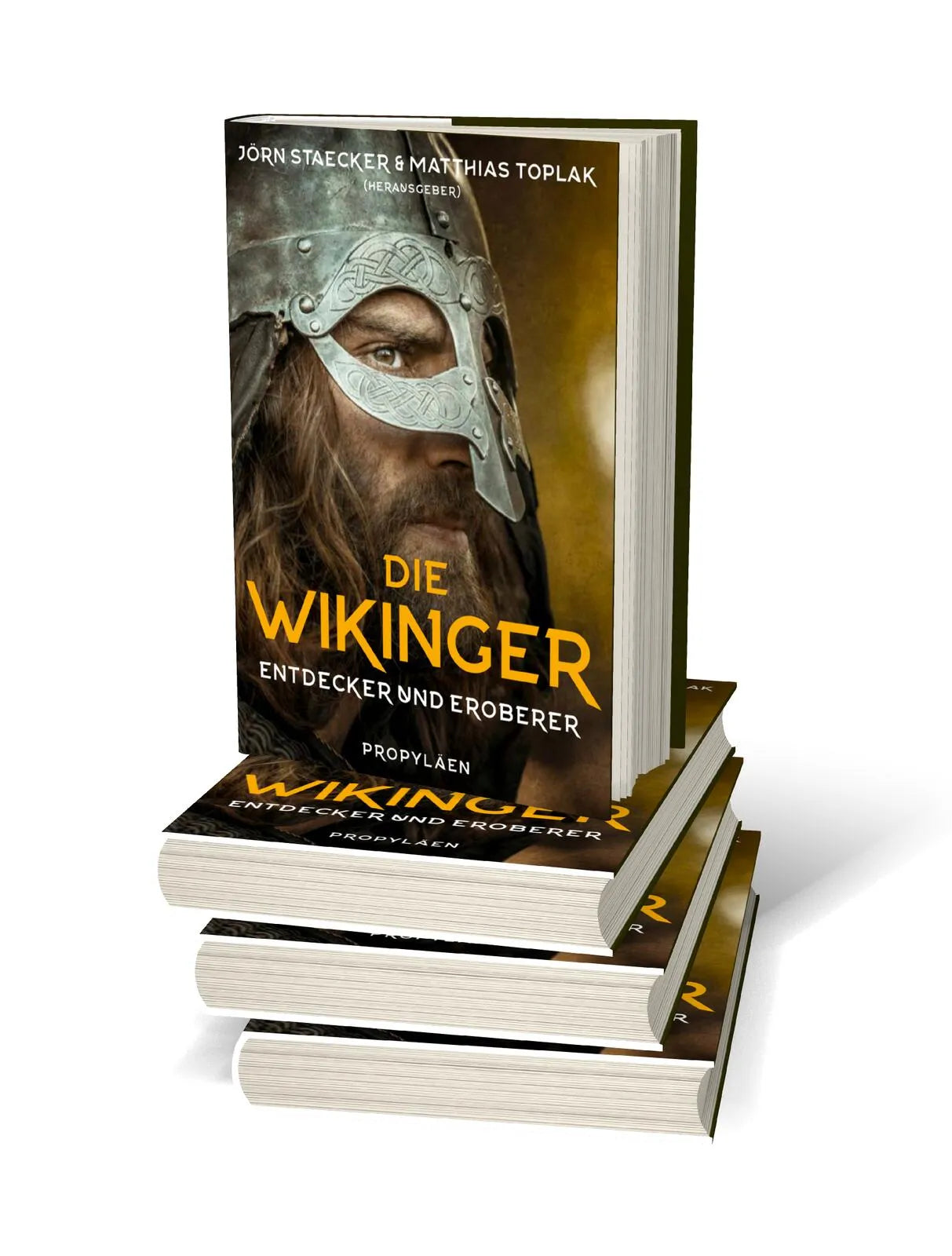 Abbildung von 'Die Wikinger'