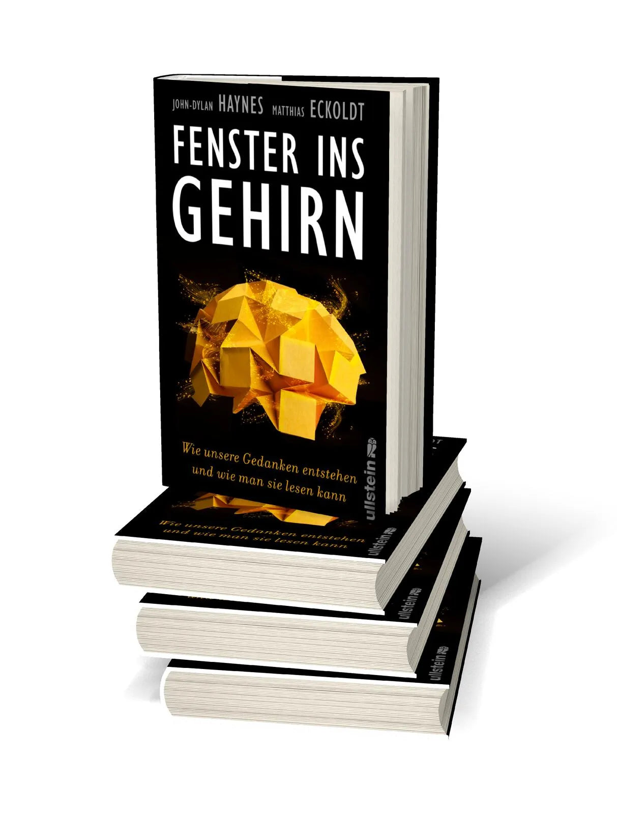 Abbildung von 'Fenster ins Gehirn'
