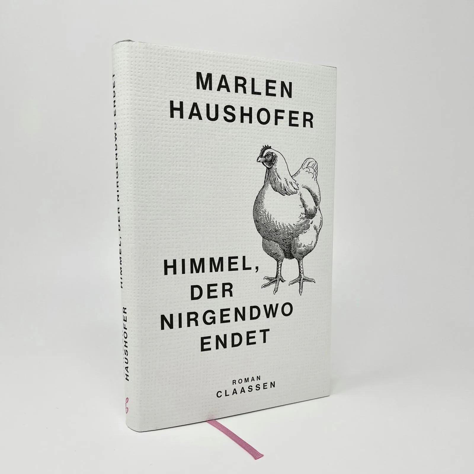 Abbildung von 'Himmel, der nirgendwo endet'