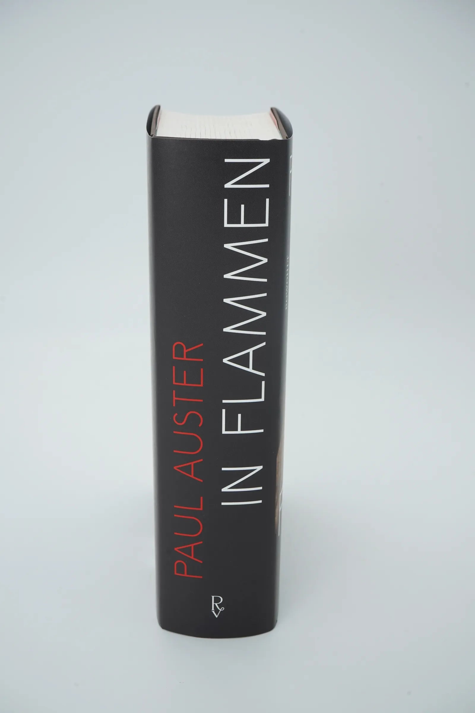 Abbildung von 'In Flammen'