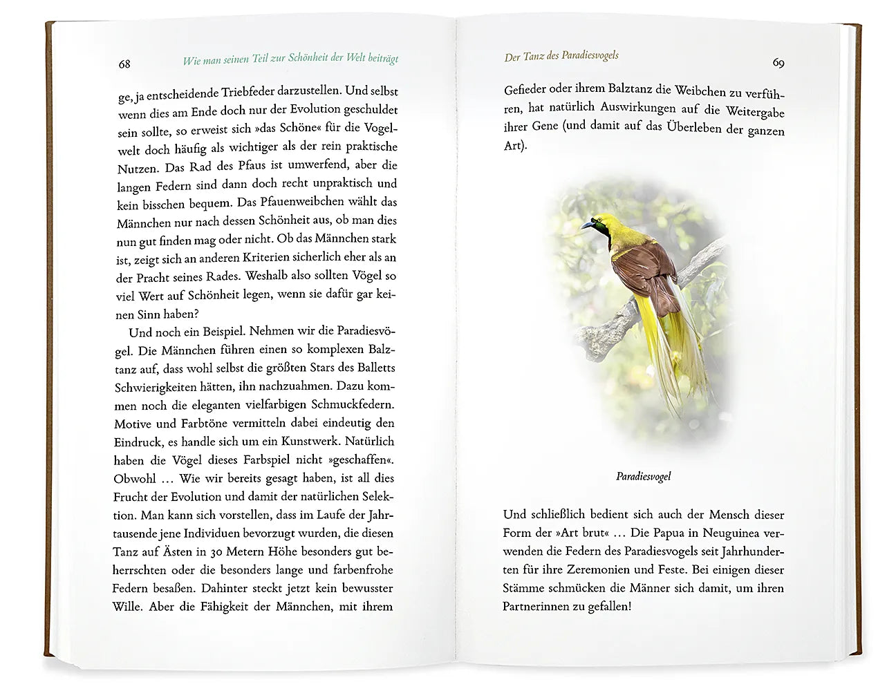 Abbildung von 'Kleine Philosophie der Vögel'