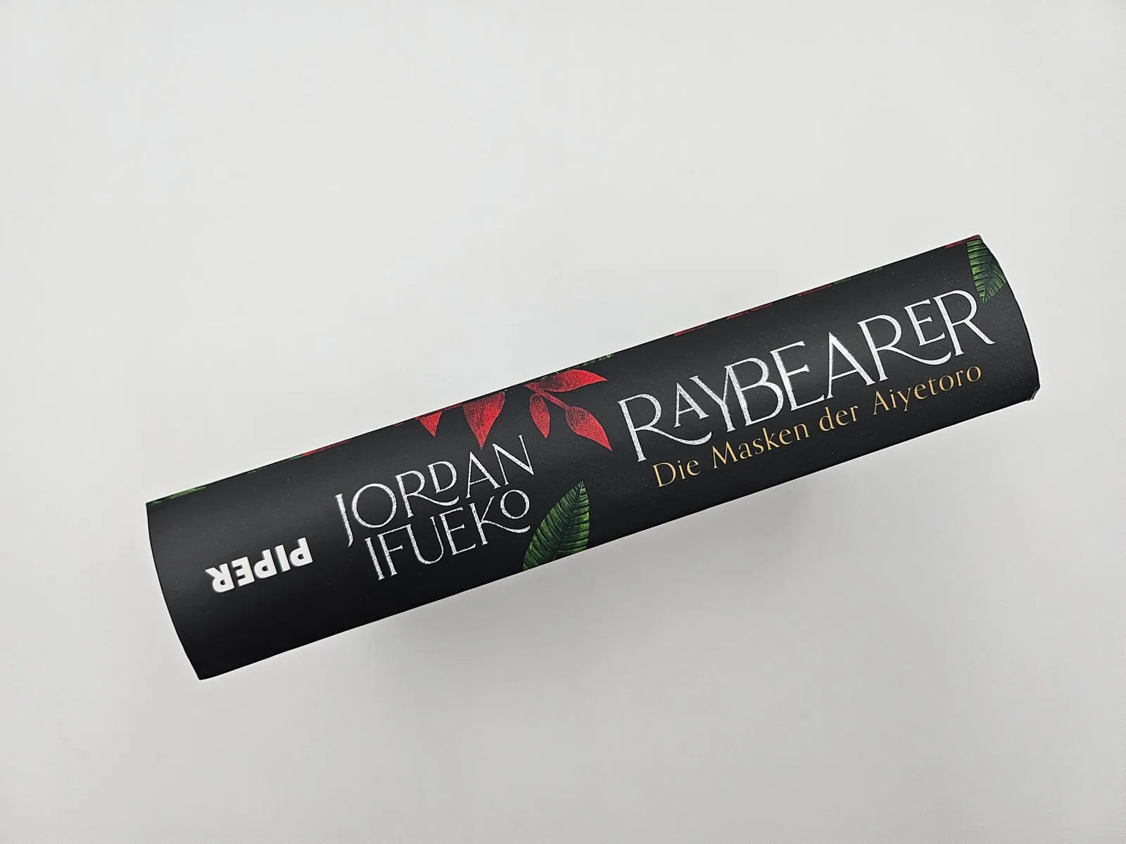 Abbildung von 'Raybearer – Die Masken der Aiyetoro'