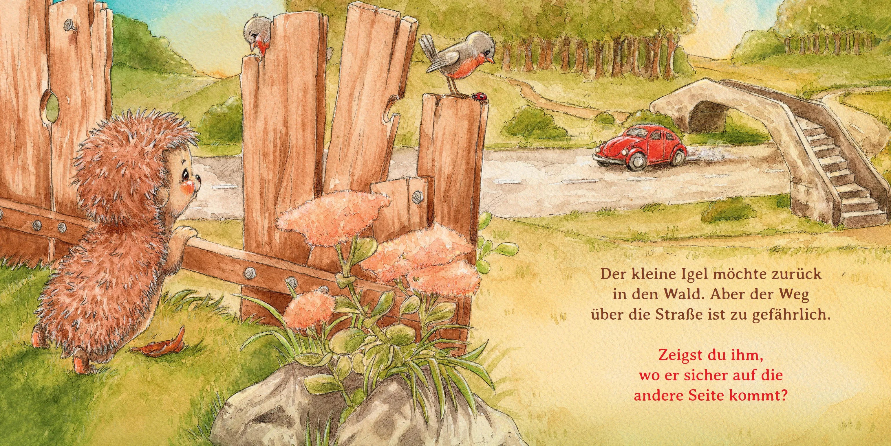 Abbildung von 'Schlaf schön, kleiner Igel'