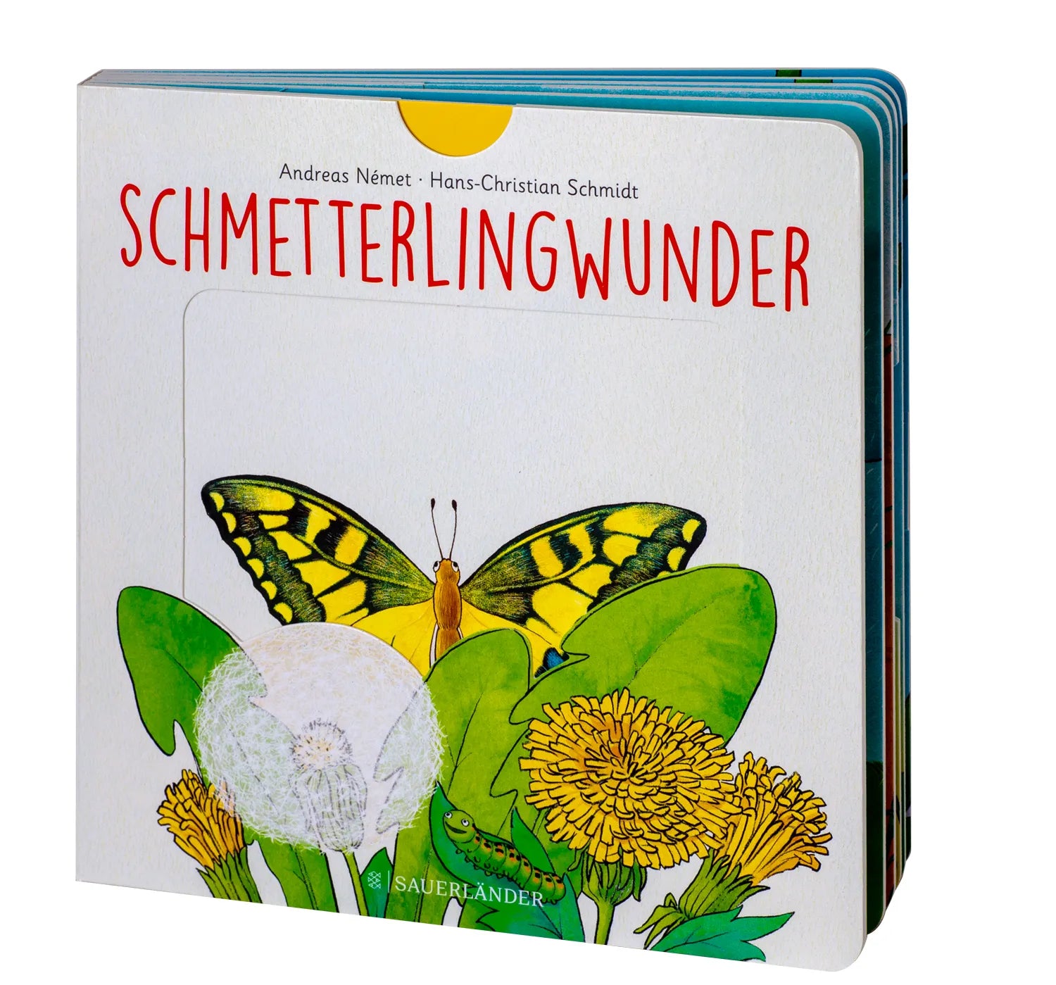 Abbildung von 'Schmetterlingwunder'