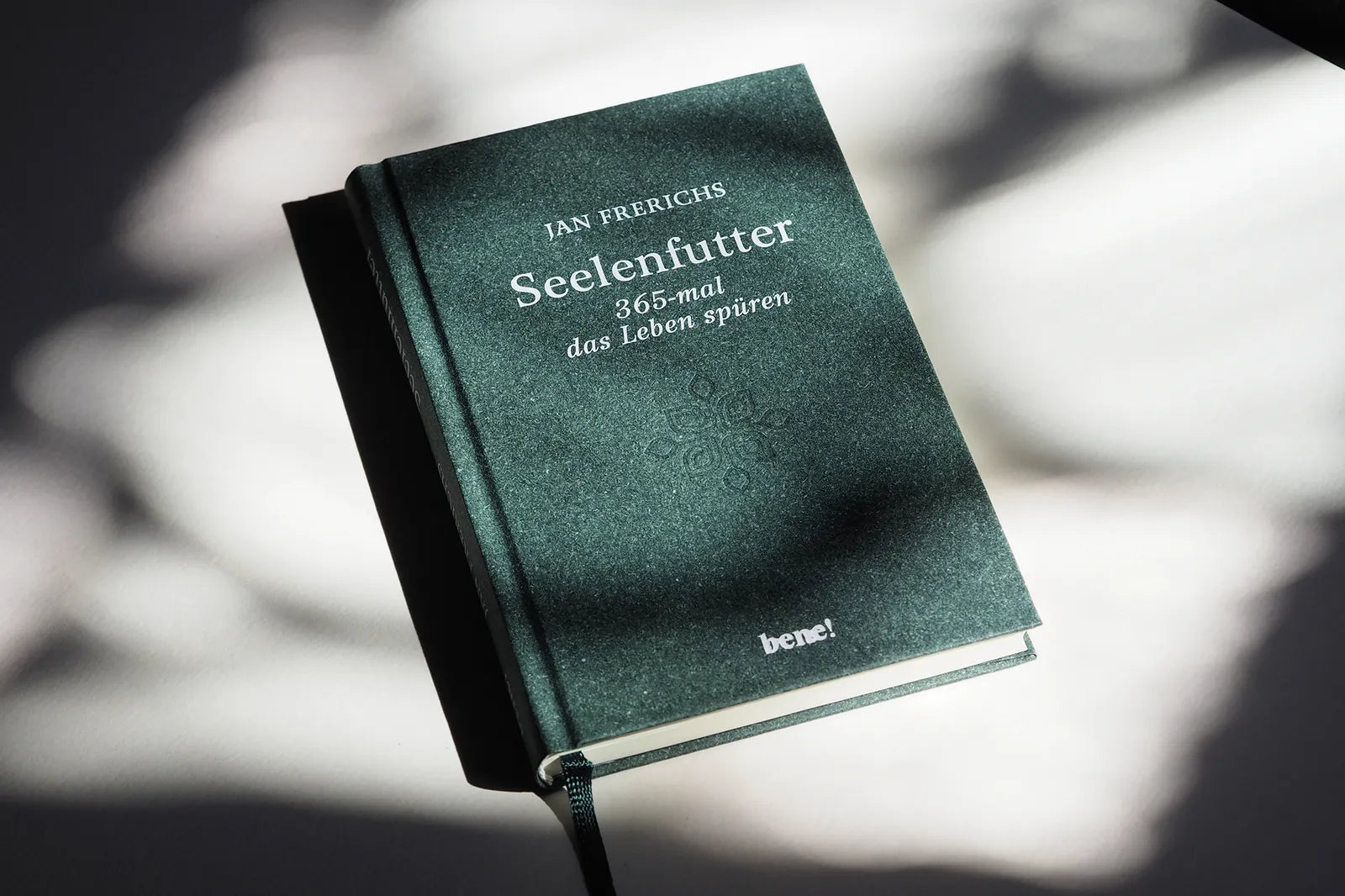 Abbildung von 'Seelenfutter – 365-mal das Leben spüren'