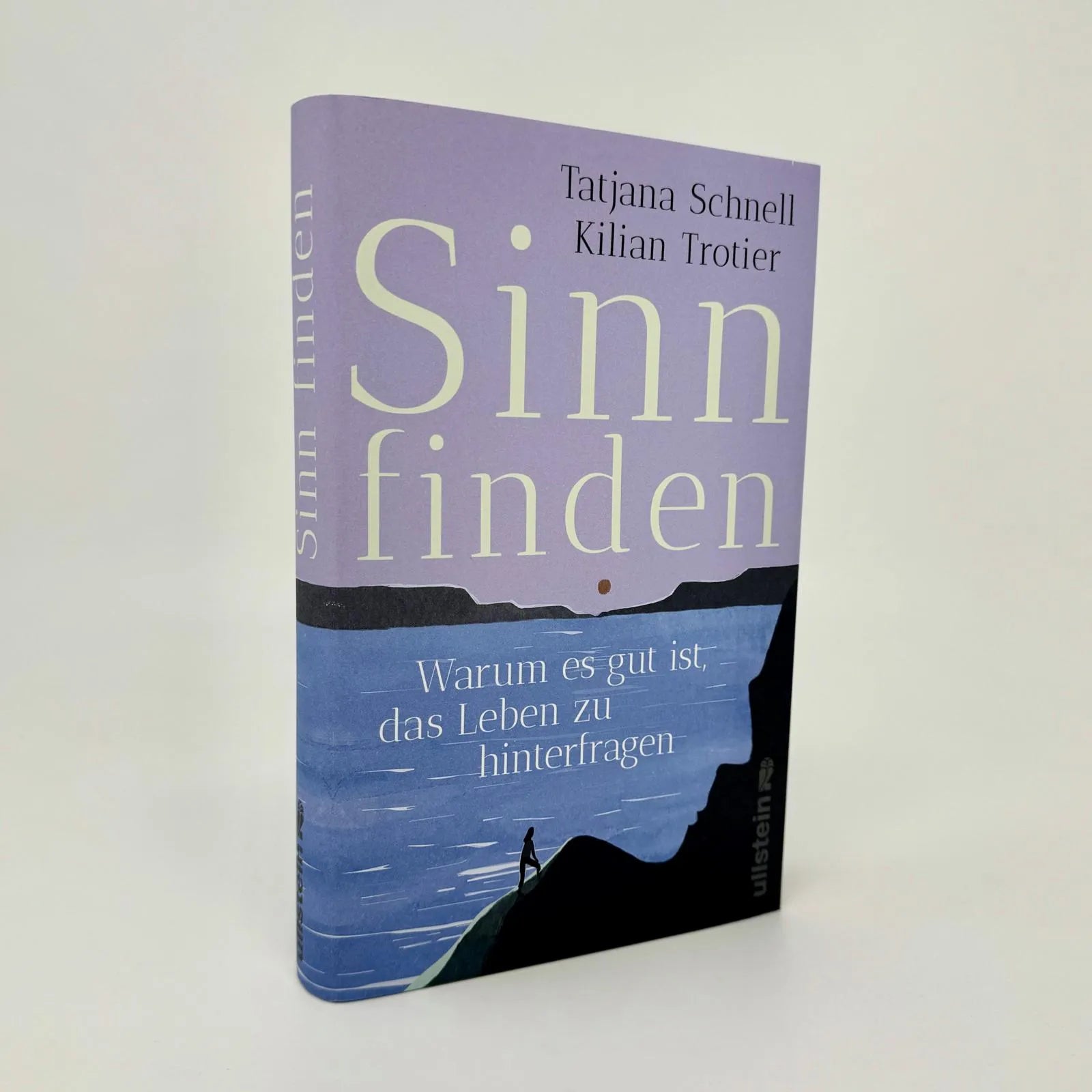 Abbildung von 'Sinn finden'