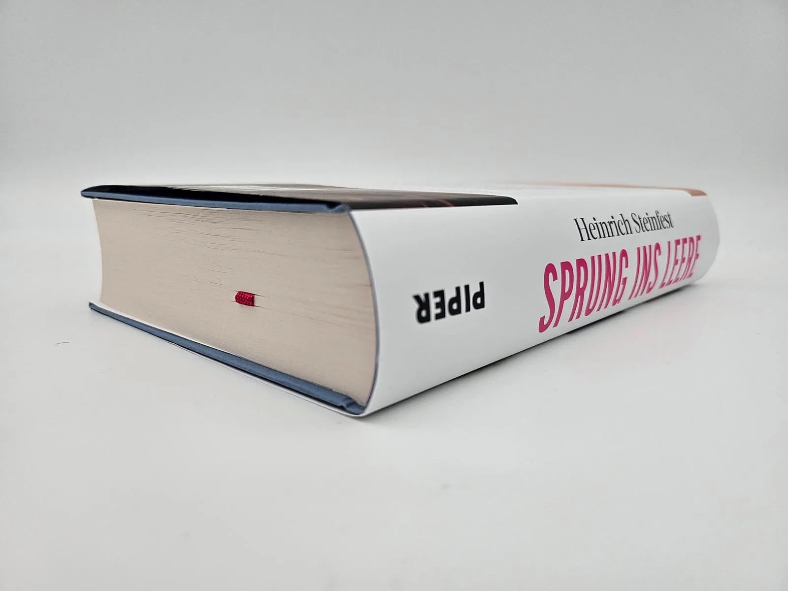 Abbildung von 'Sprung ins Leere'