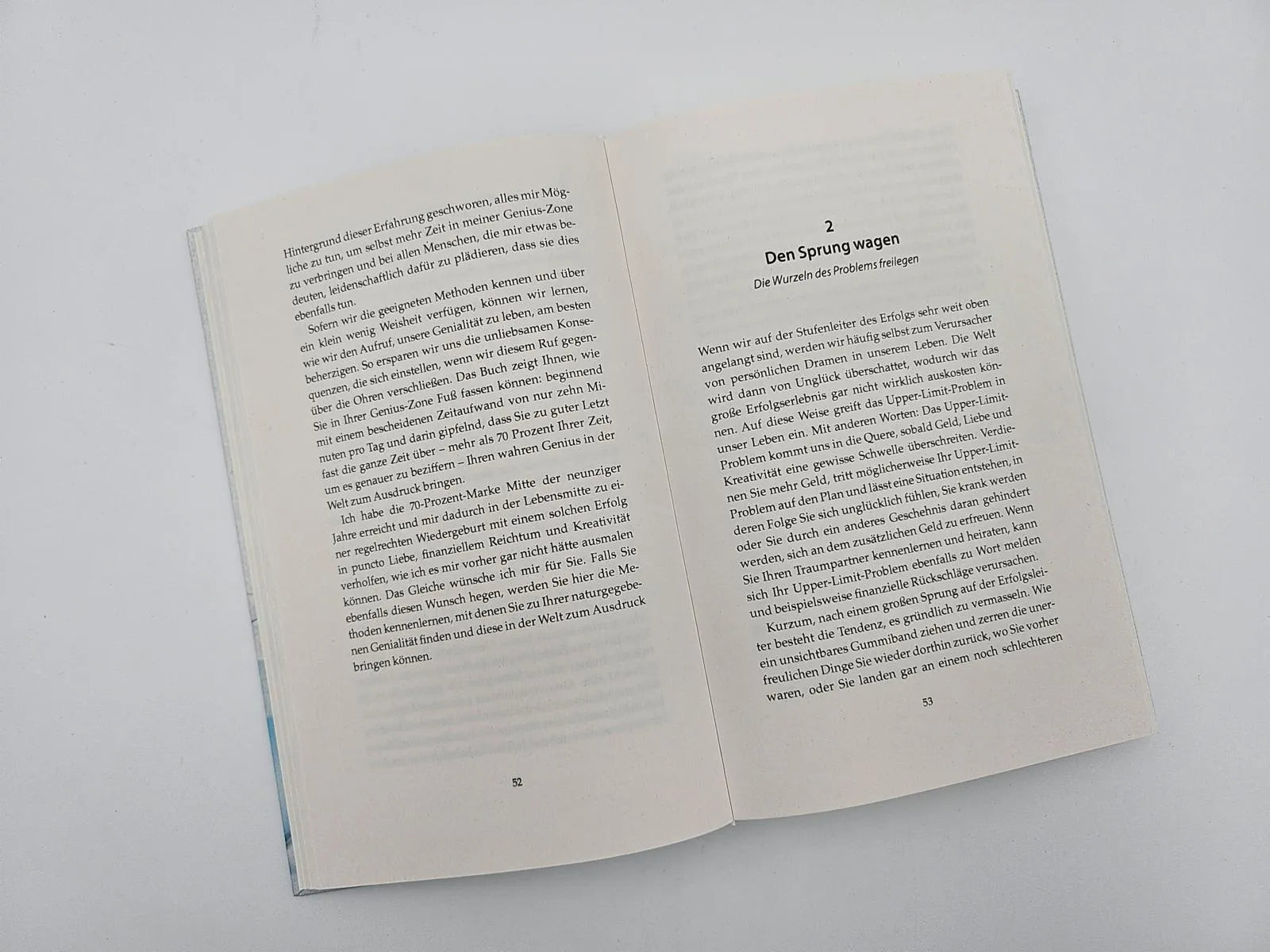 Abbildung von 'The Big Leap'
