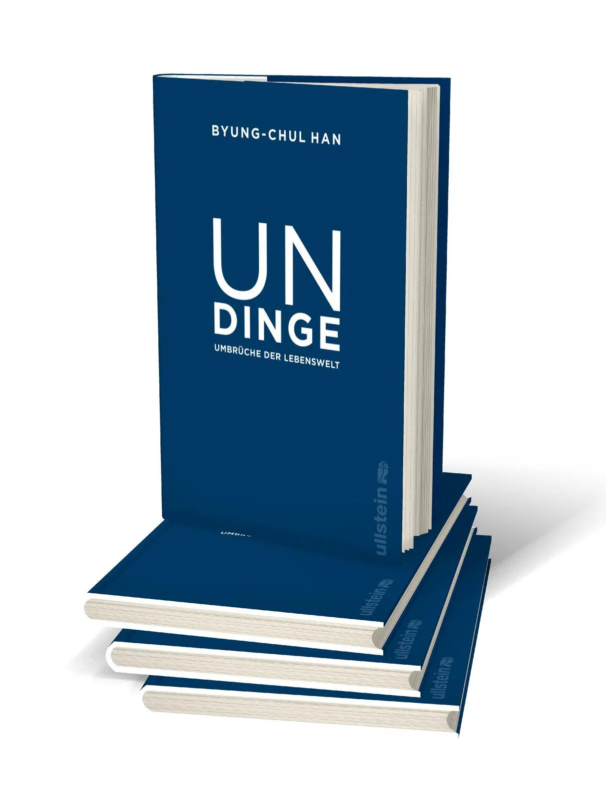 Abbildung von 'Undinge'